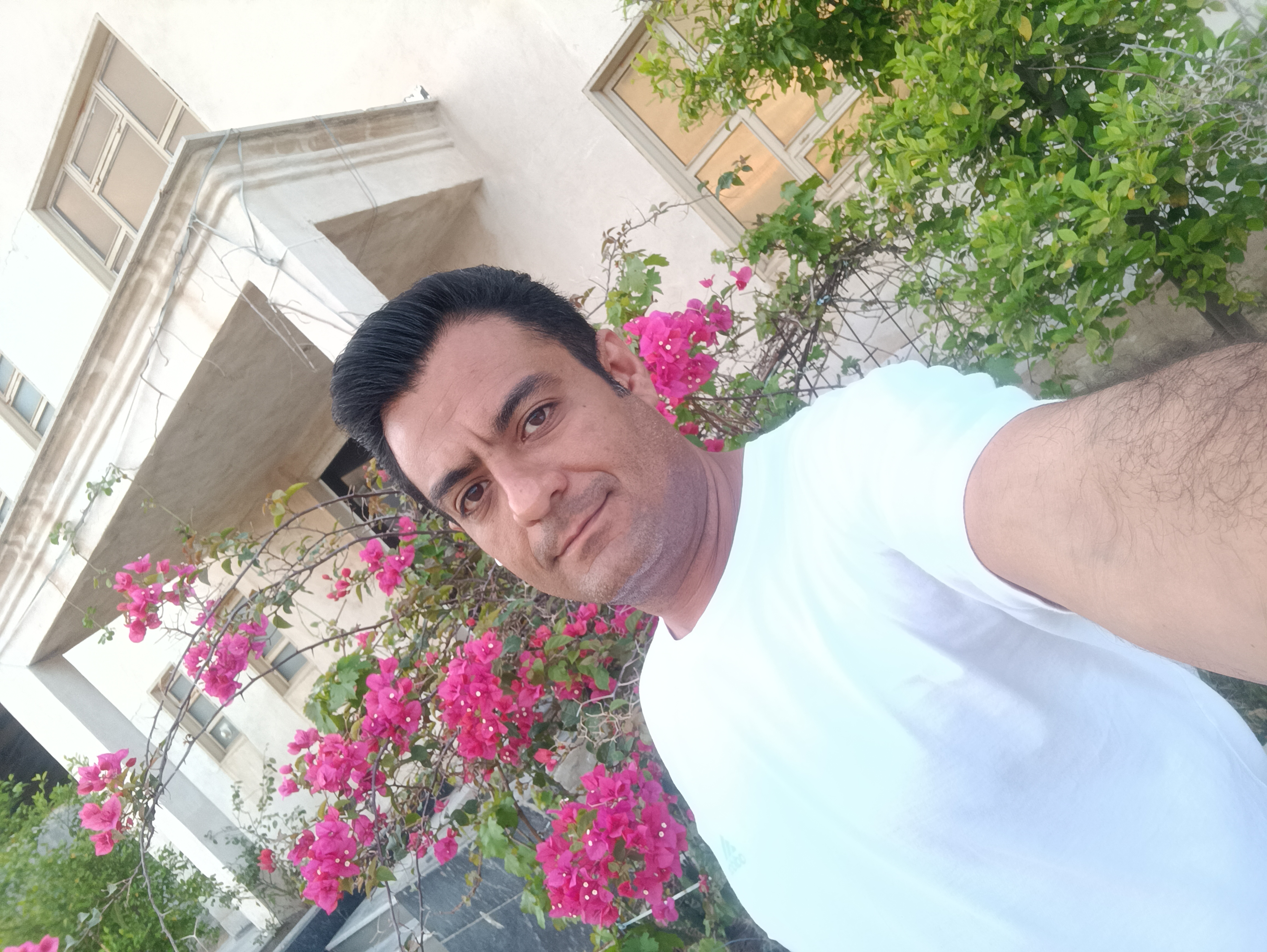 عباس  نحوی نظام آبادی 