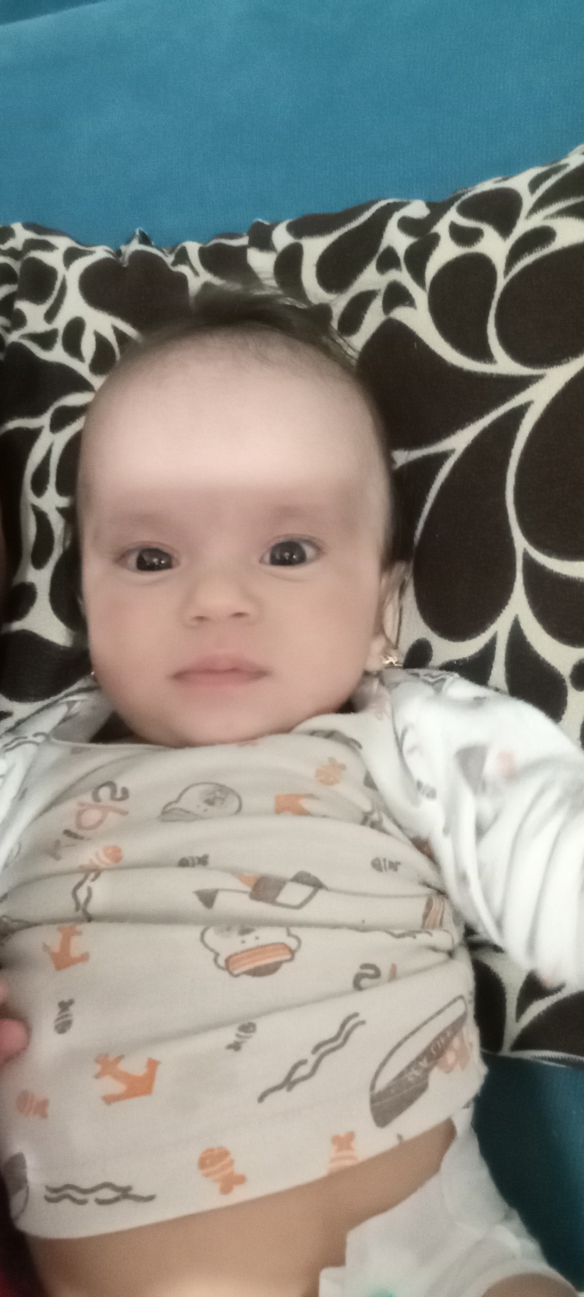 پناه مولودی