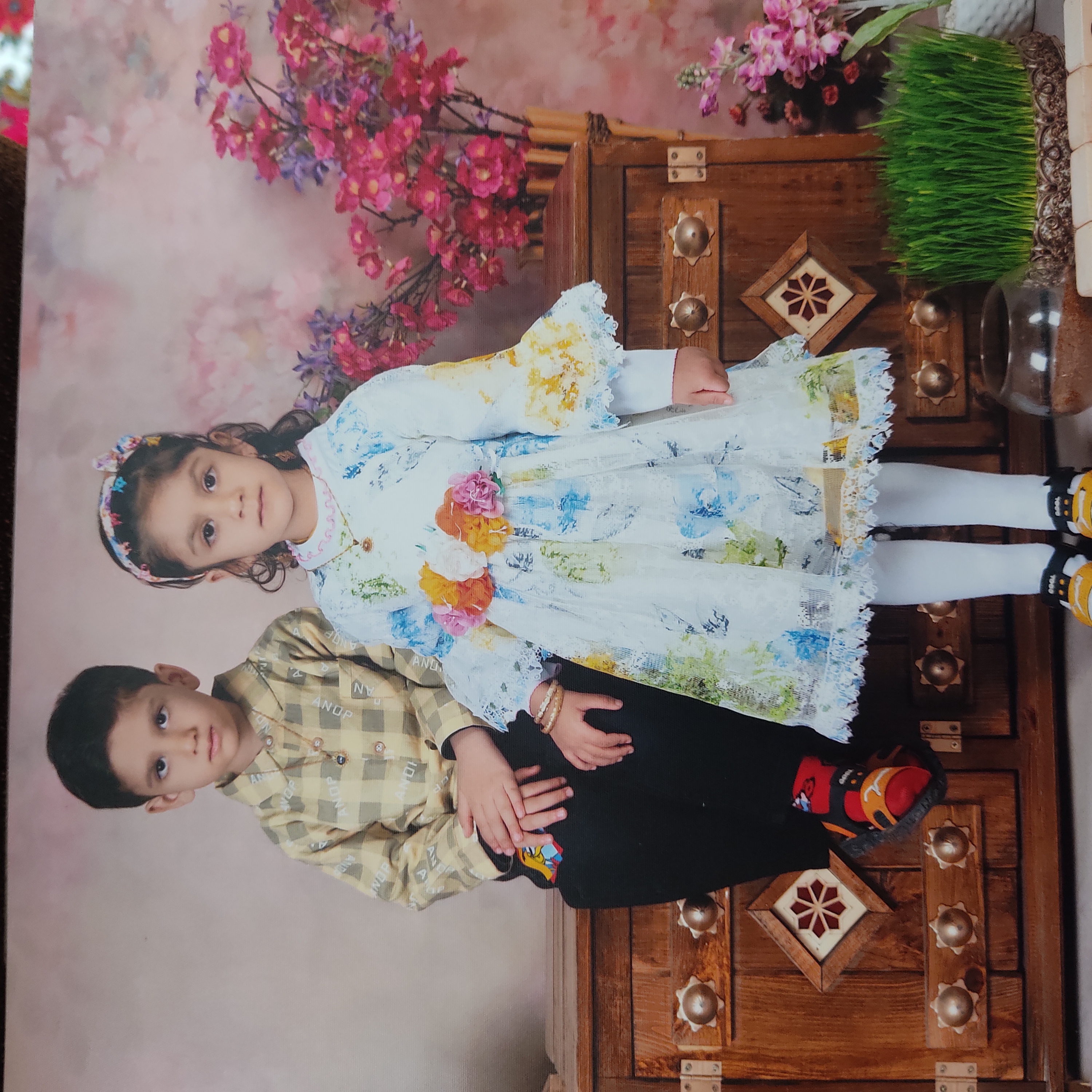 داودی