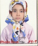 جمشیدی یلقون آغاج