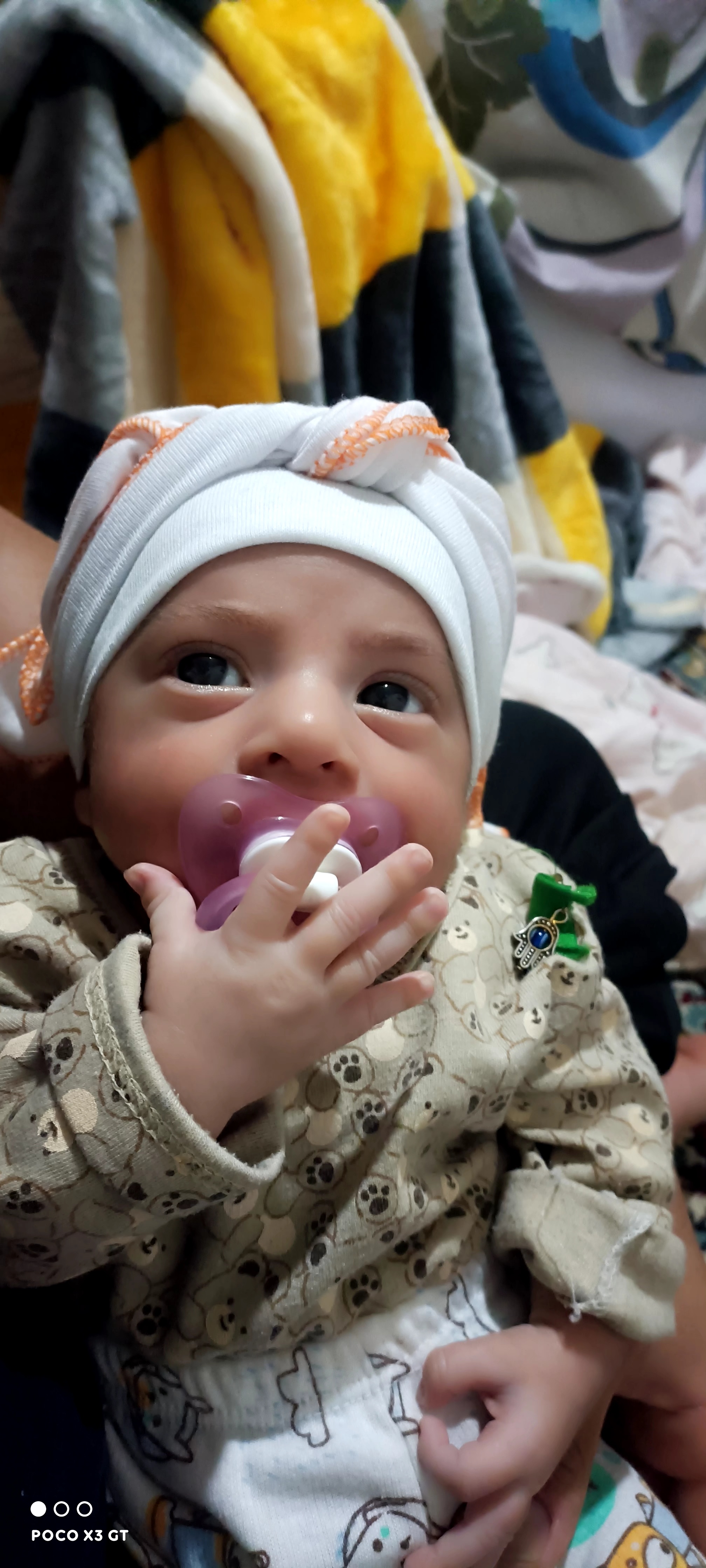 امیررضا مرواریدی