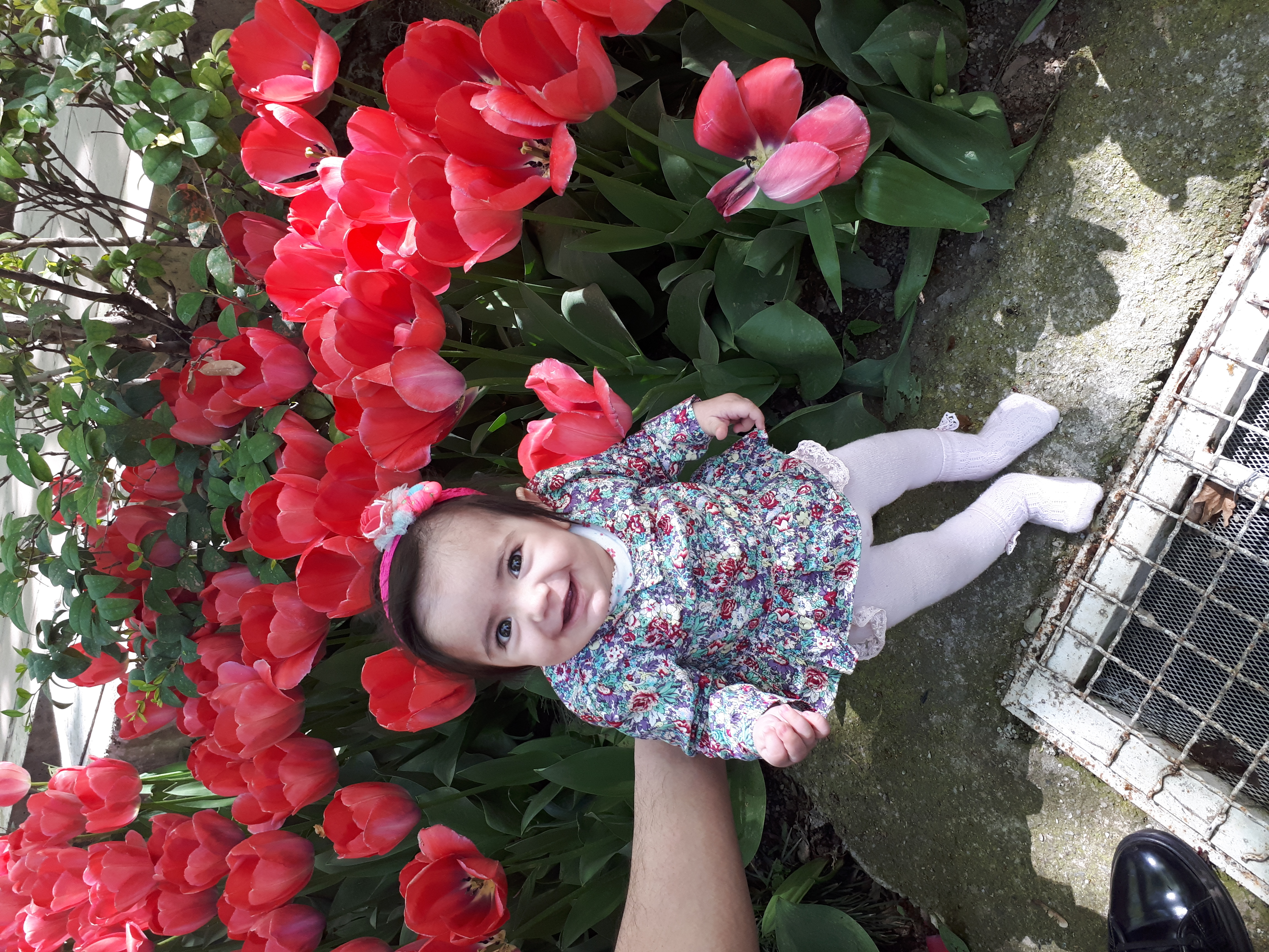 سدنا مهدیان