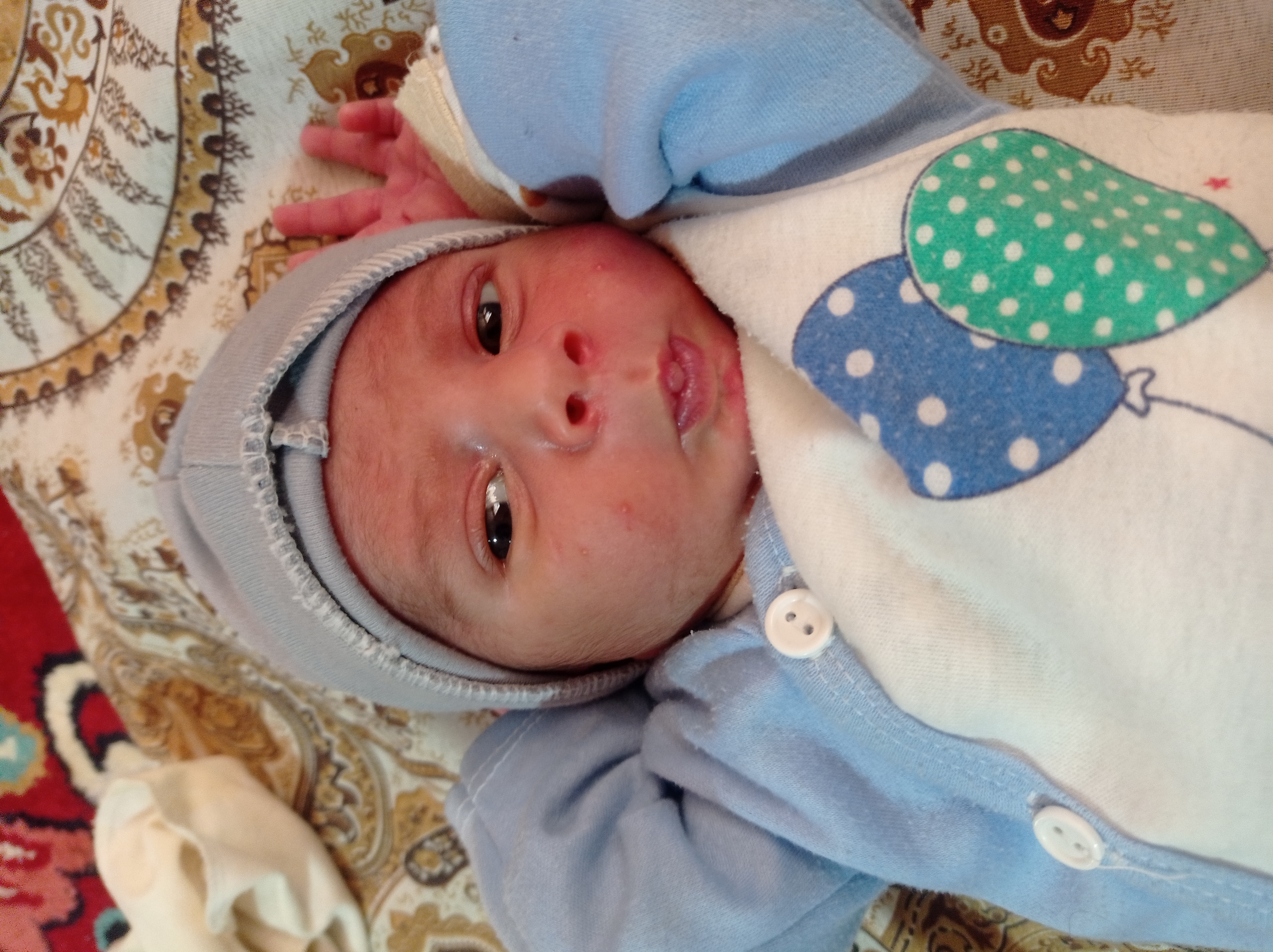 هیمن حسین پورصالح بابری