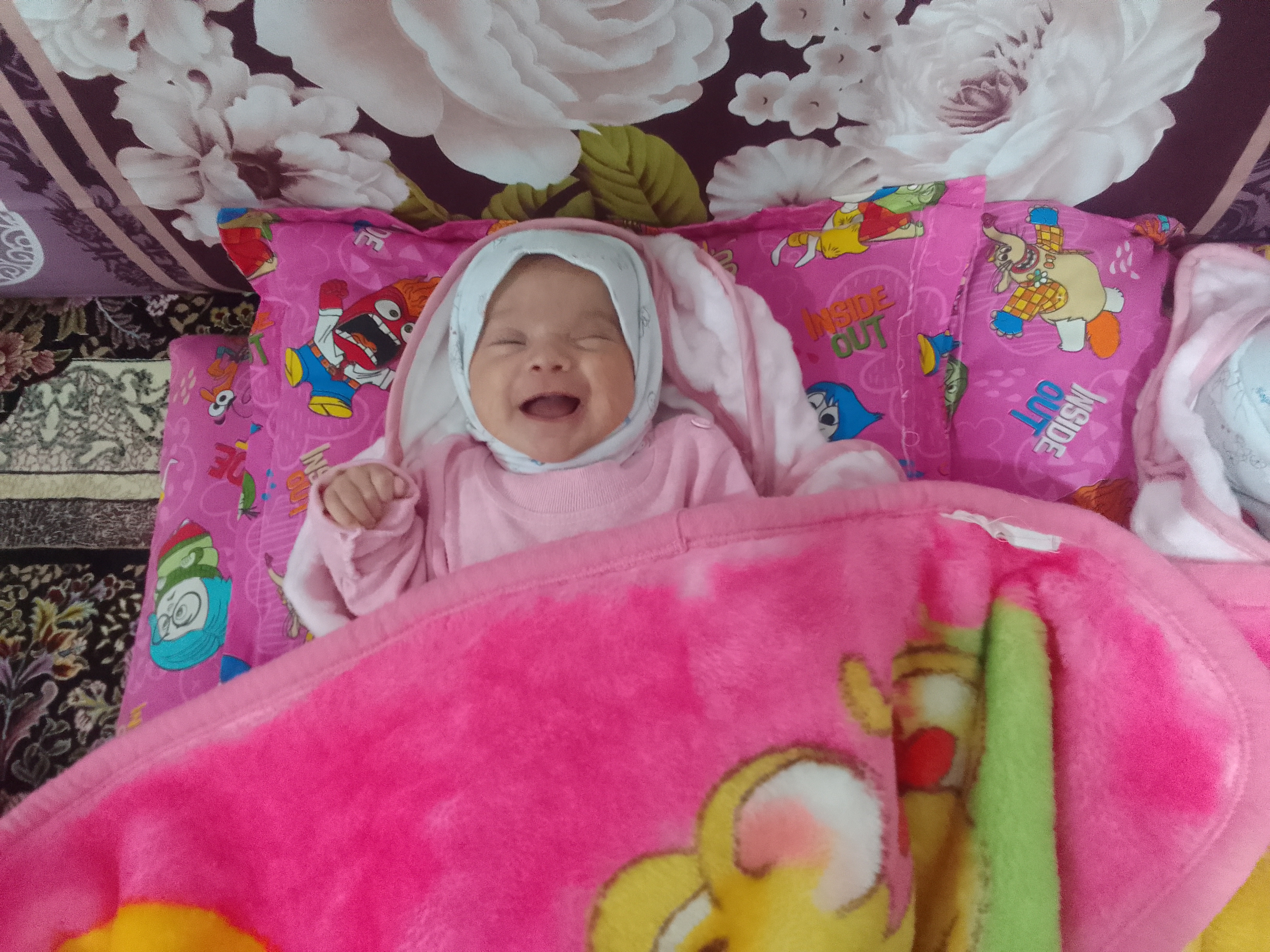 گندم نجفی
