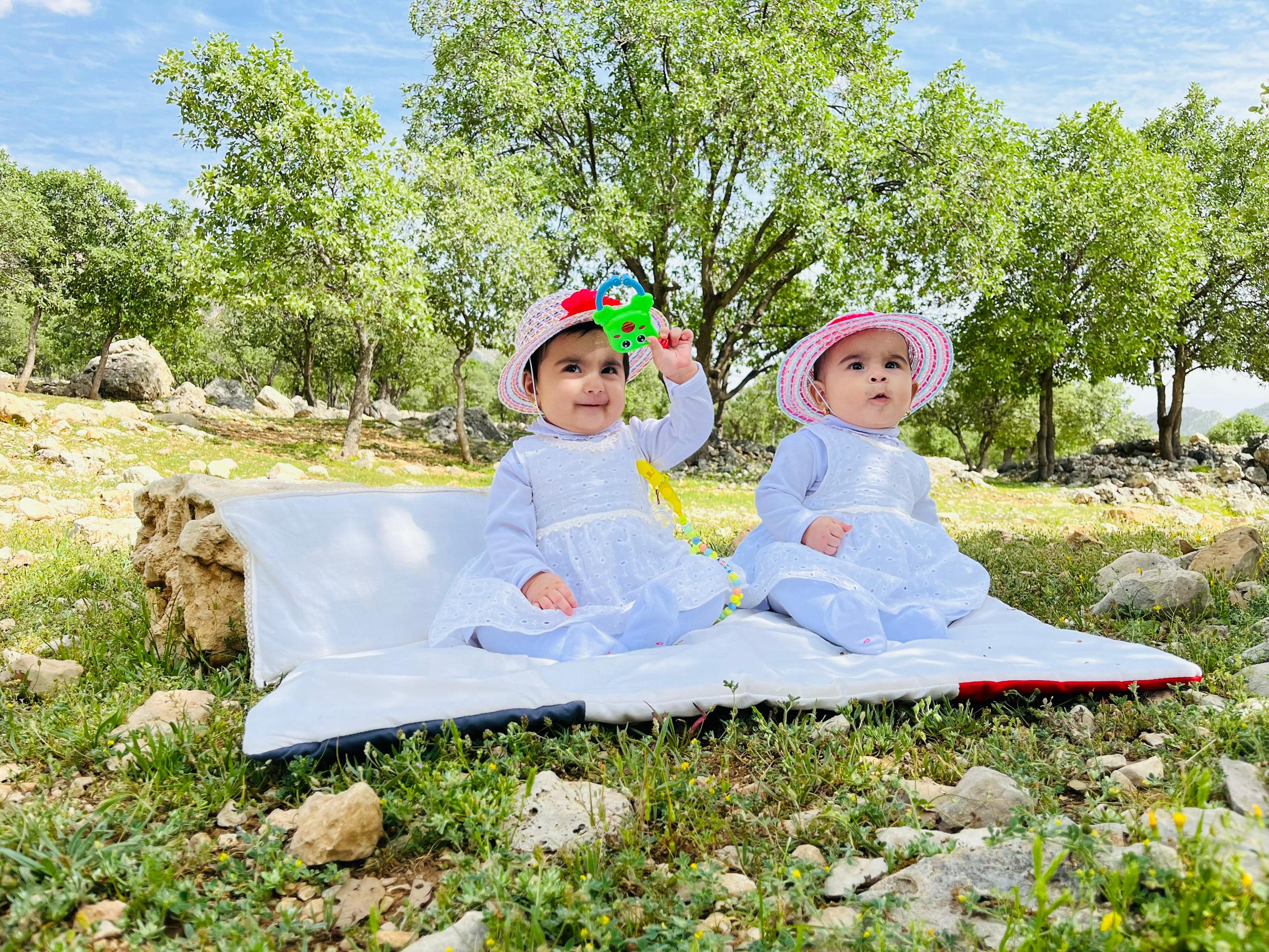 نیکا حق شناس