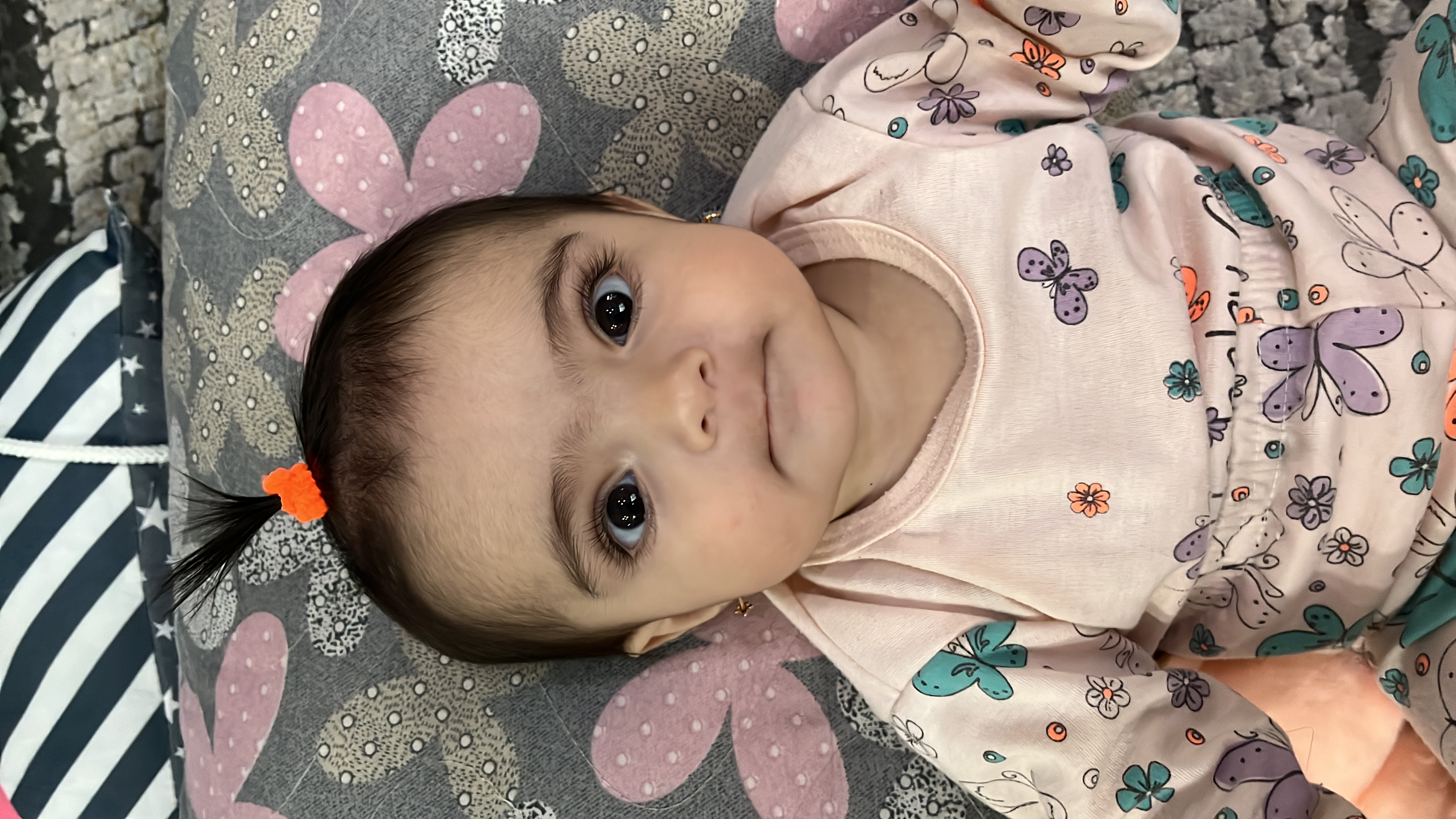 دیانا هاشمی