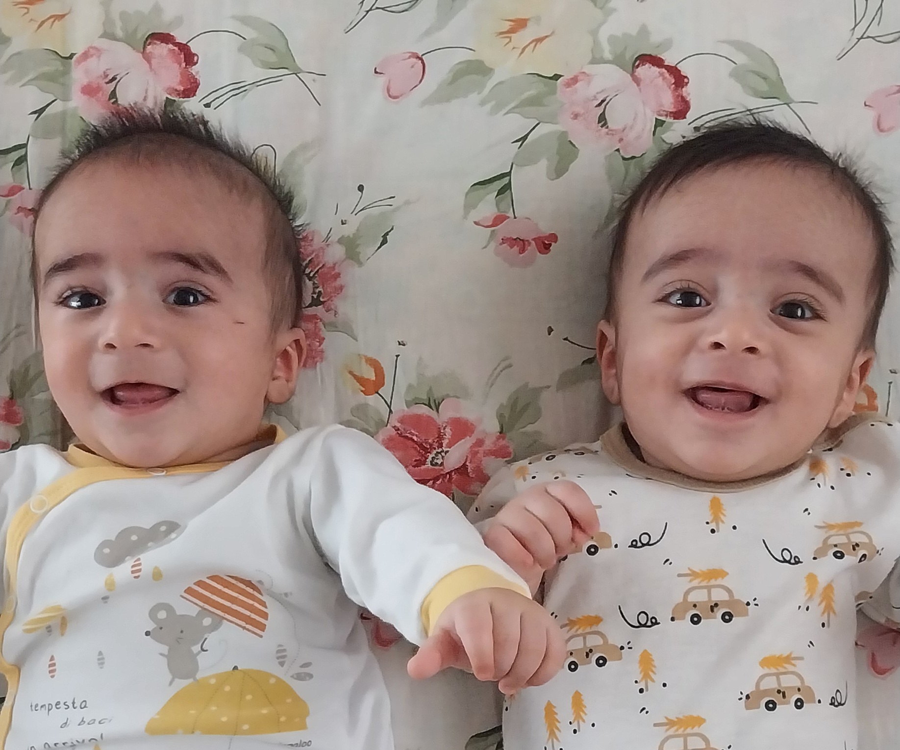 هادی  زارع زردینی