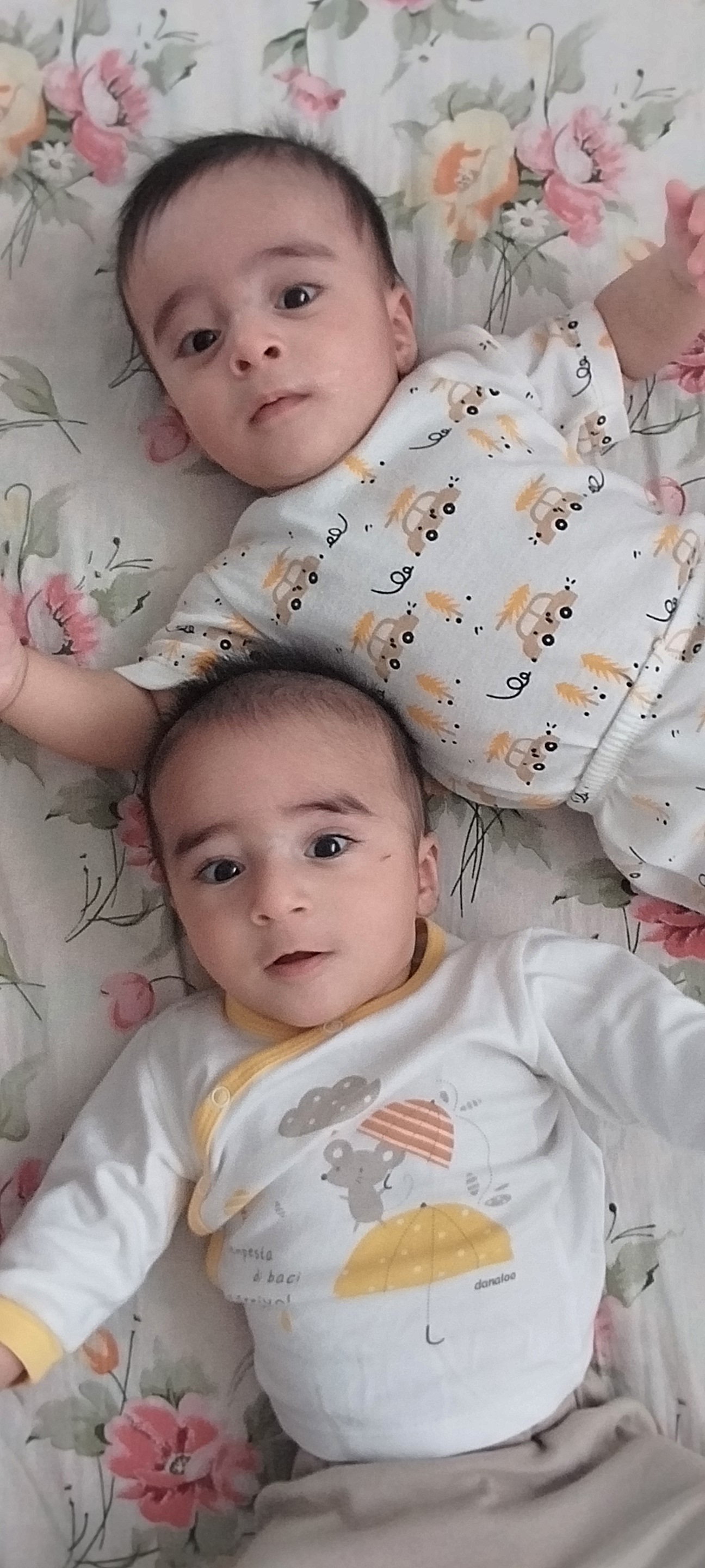 زارع زردینی