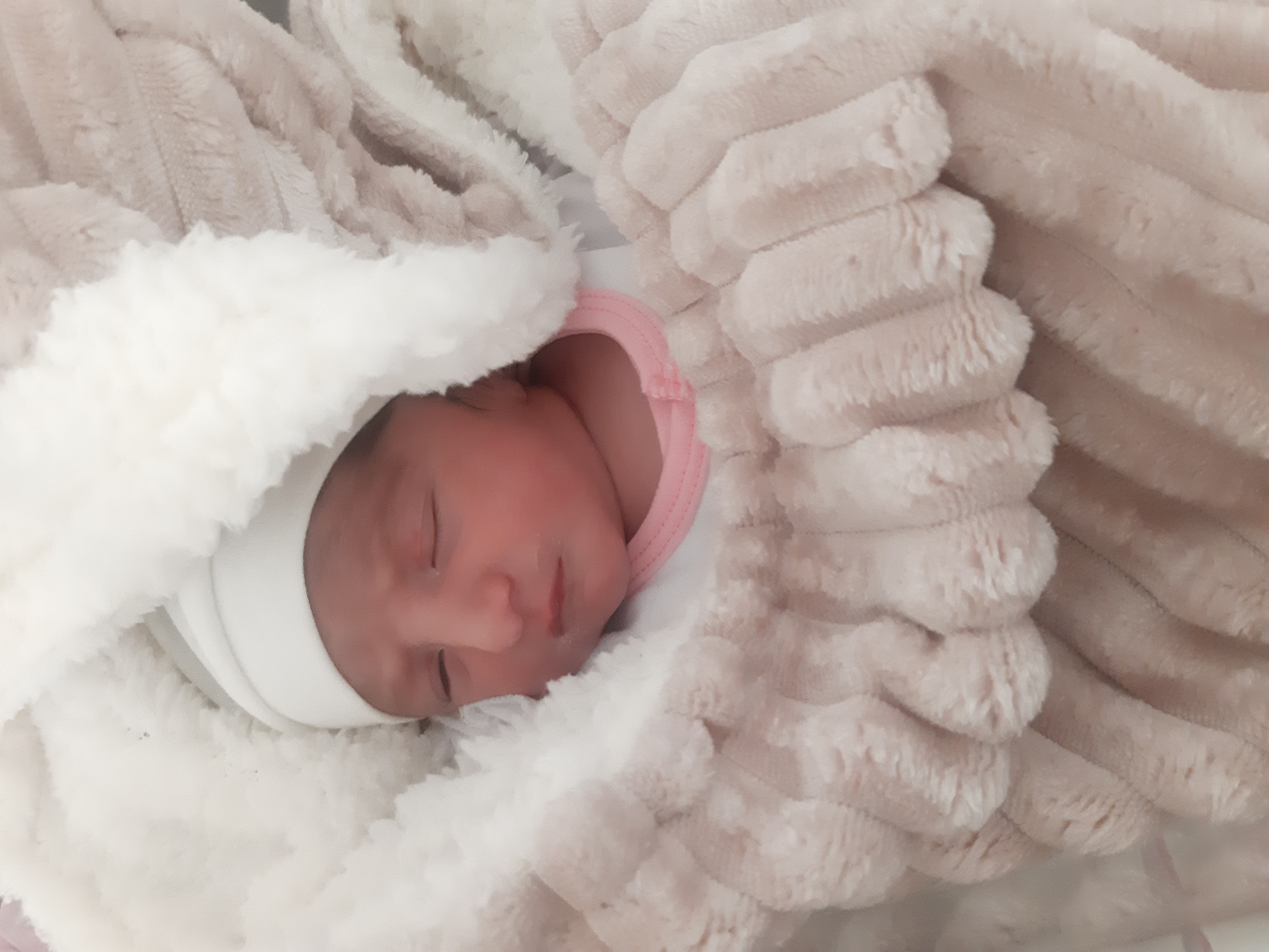 دلوین داداشی رزانی