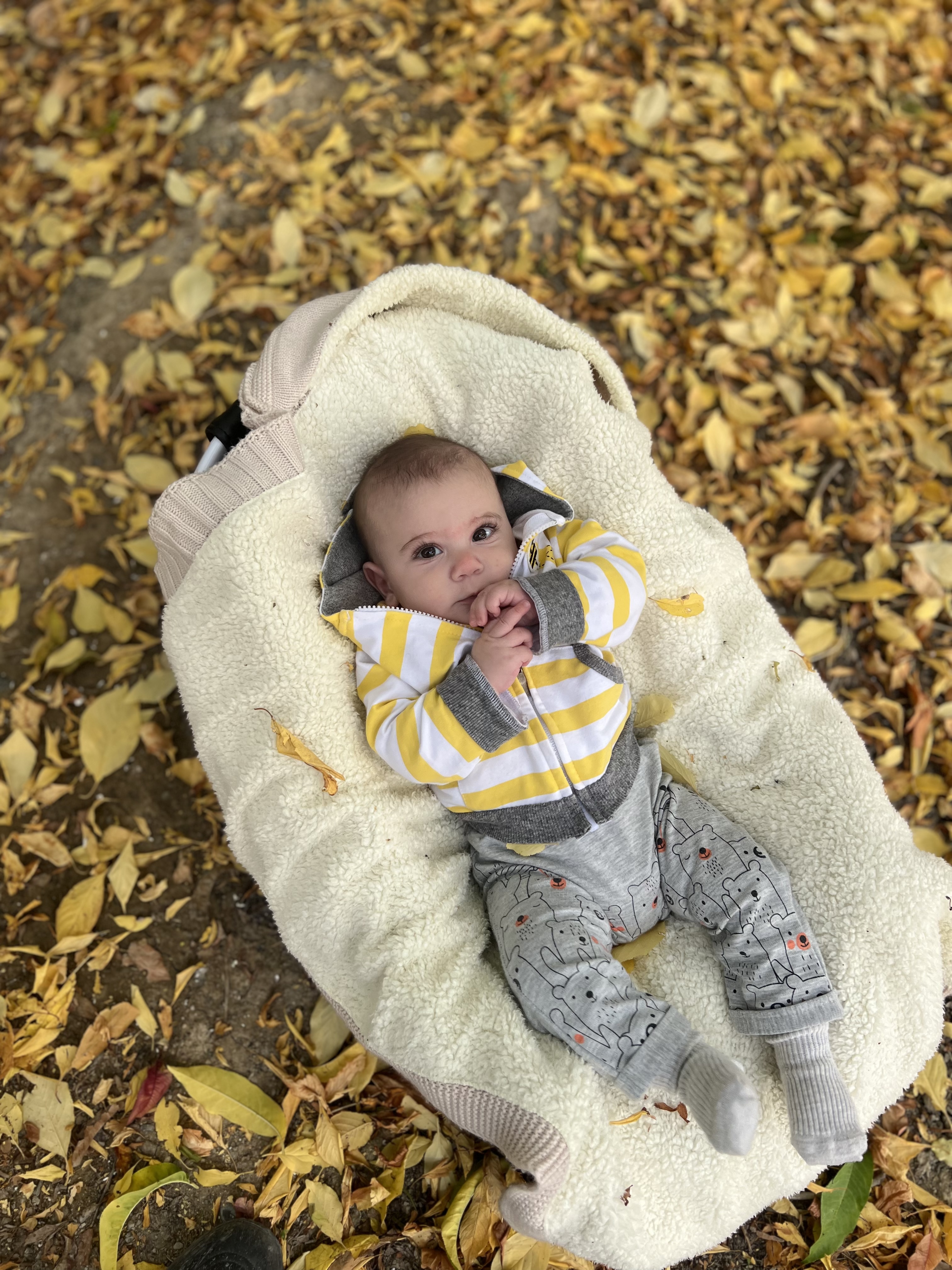 کارن کارن آذرکیش