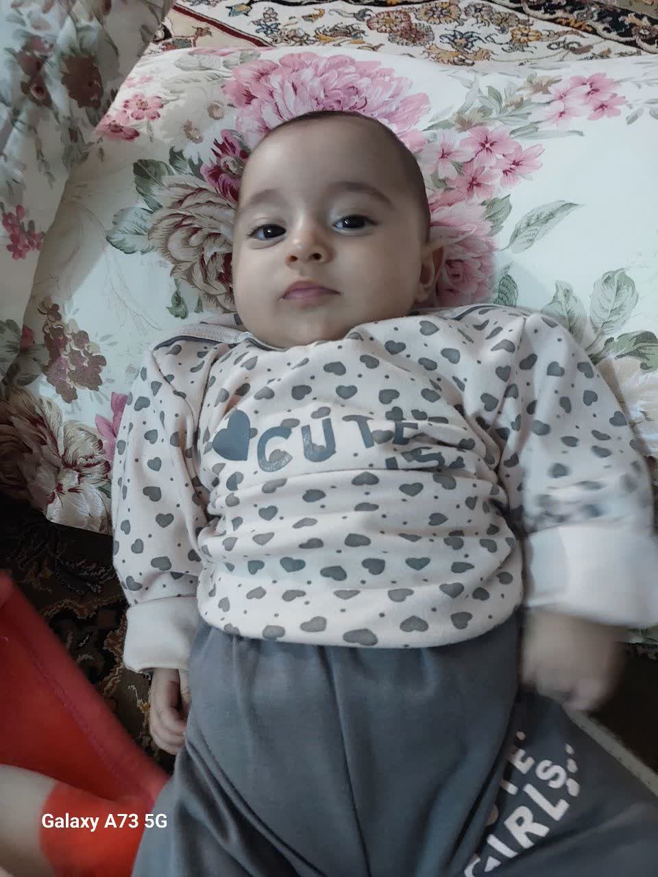 ویانا پرتوی ملک