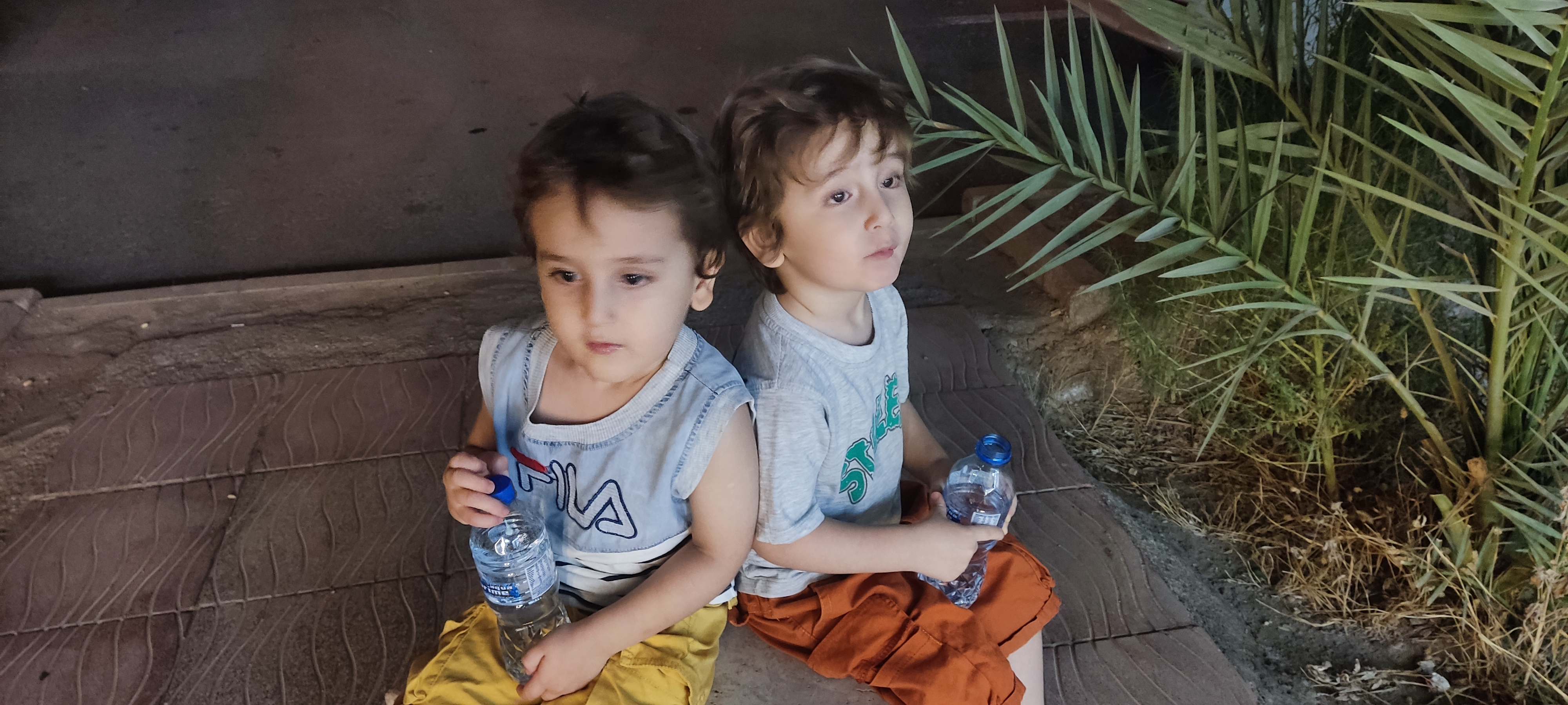 آئین رحمن نژاد