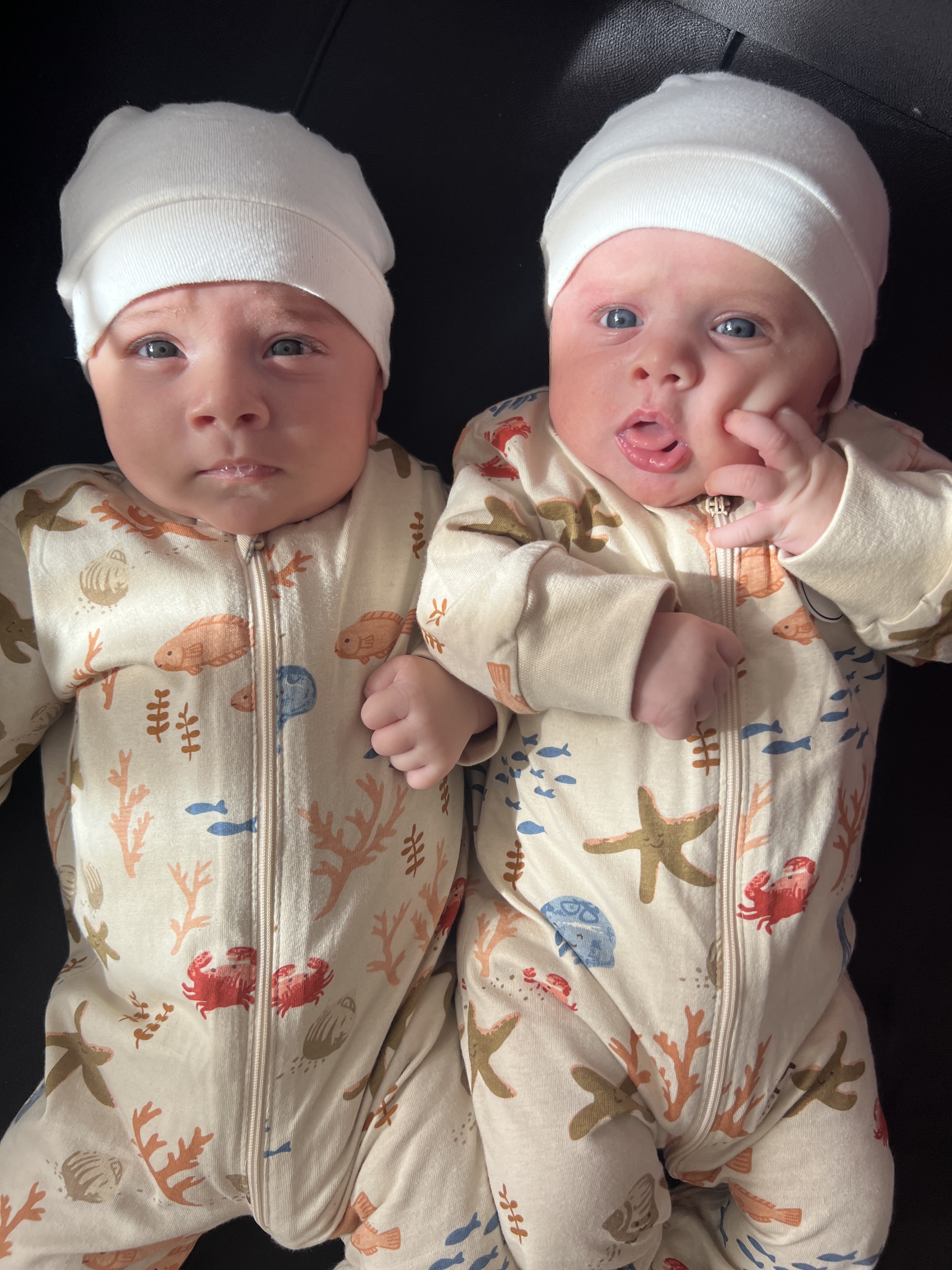 بختیاری باباپیری