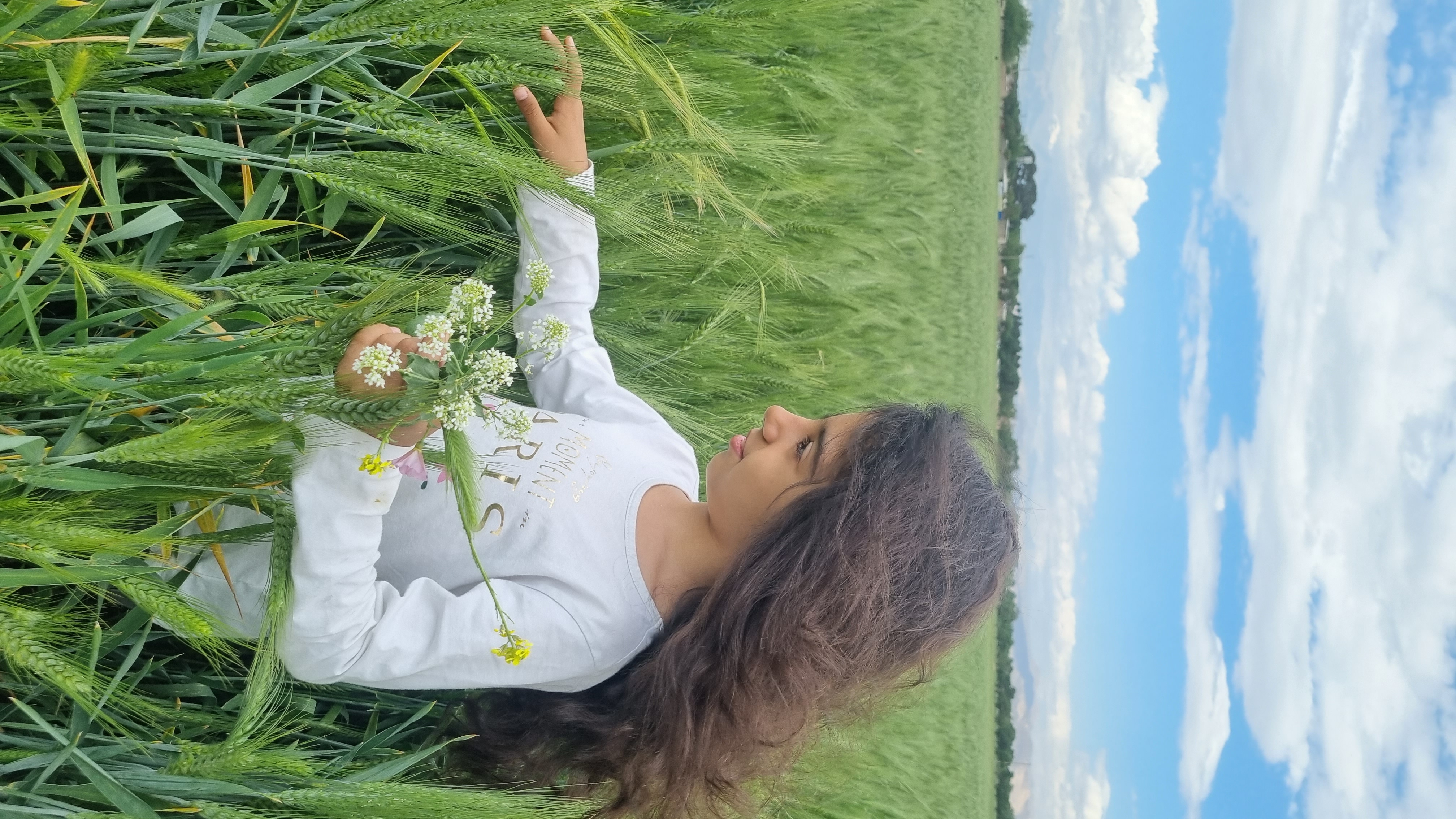 رزا ابراهیمی