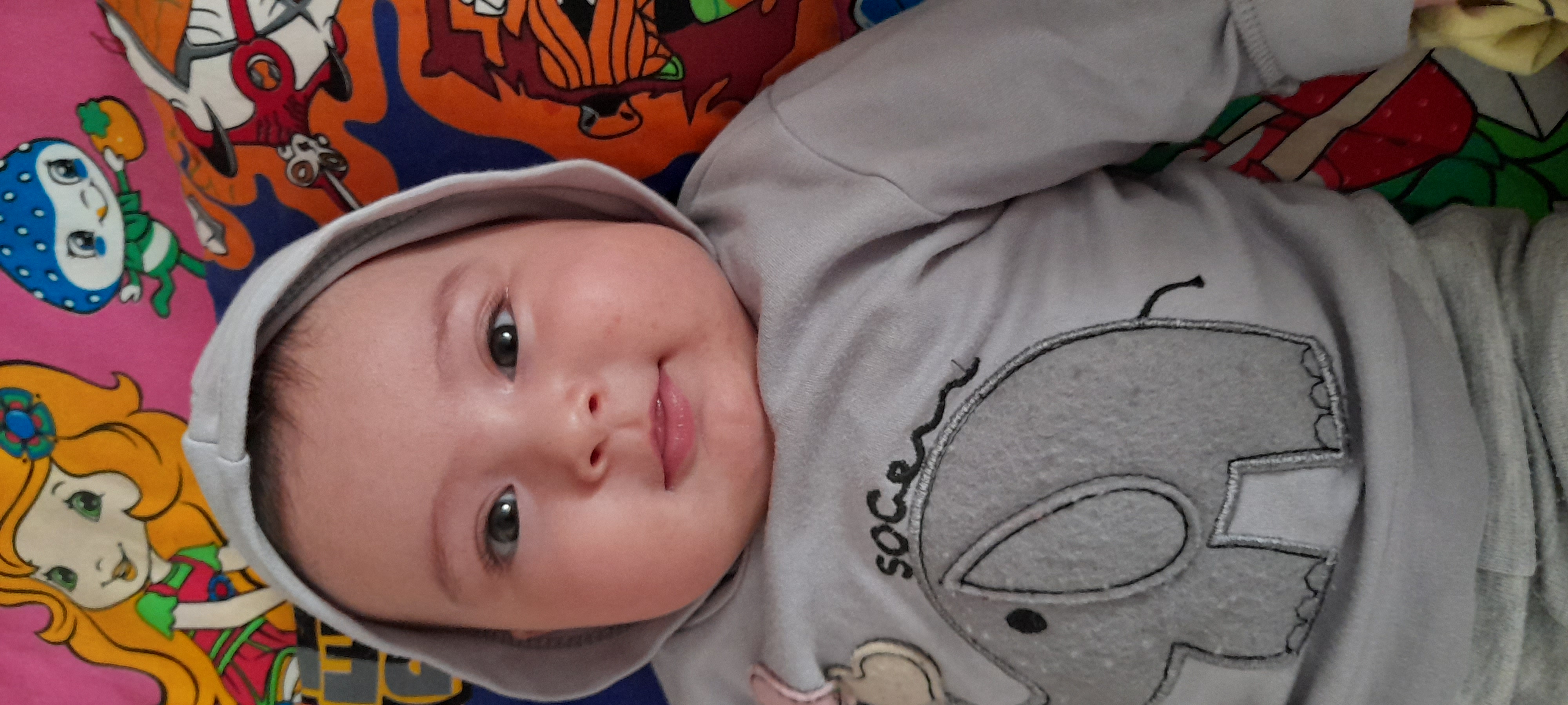 دل آرا برجی