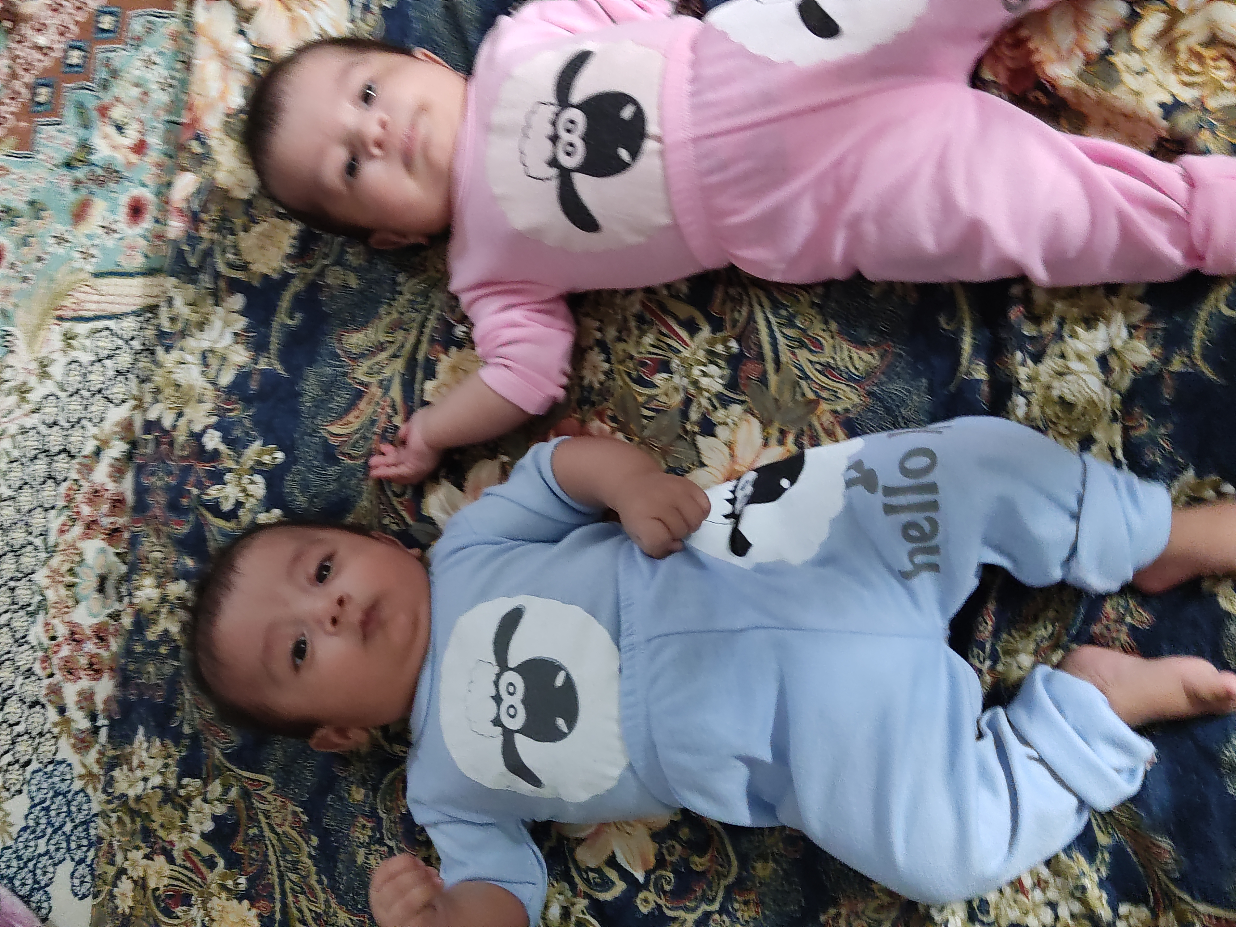 زارع رحیمی آبادی 