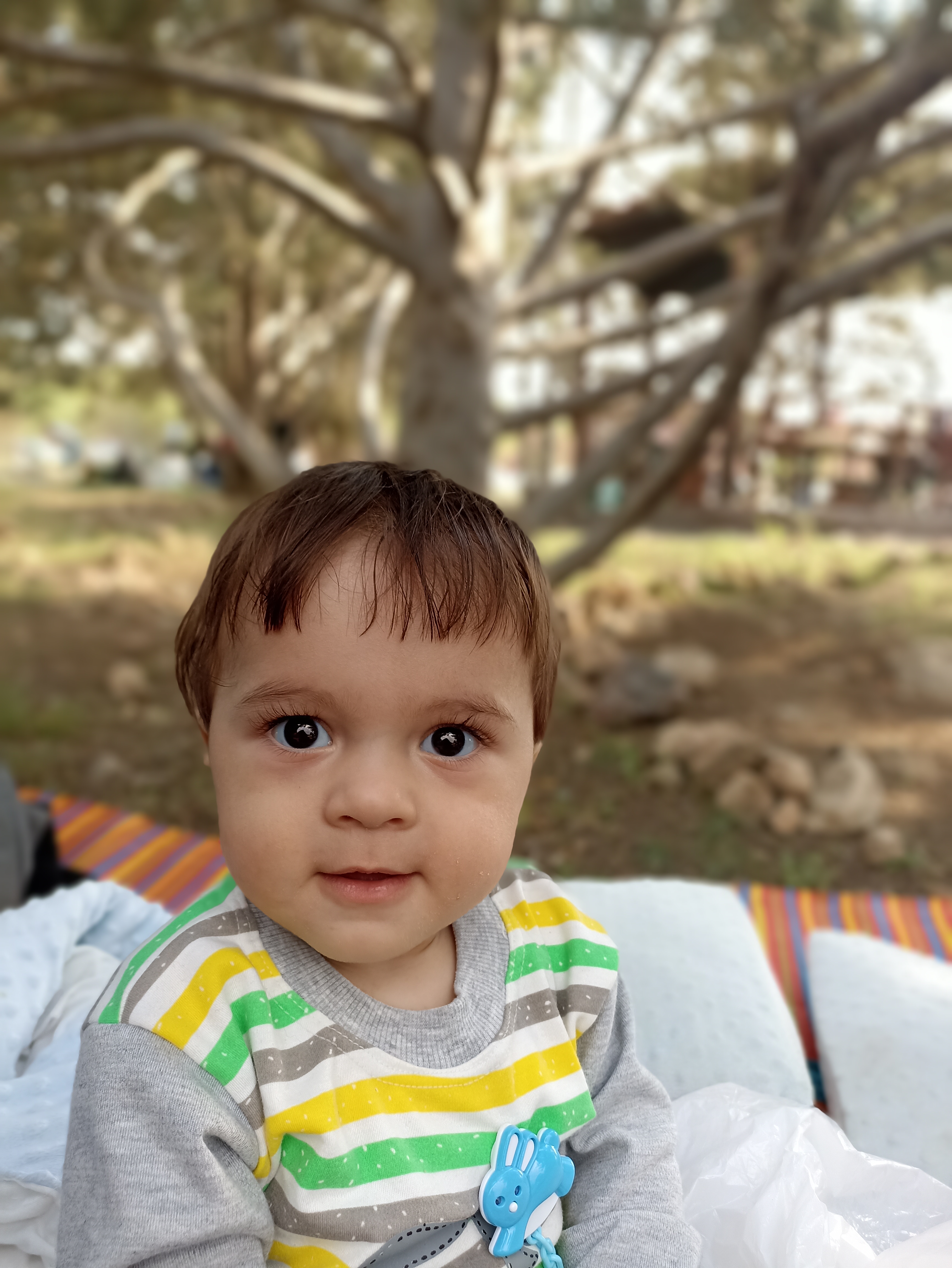 آیدین شیردل