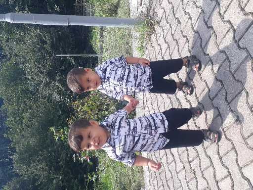 پارسا رومیانی