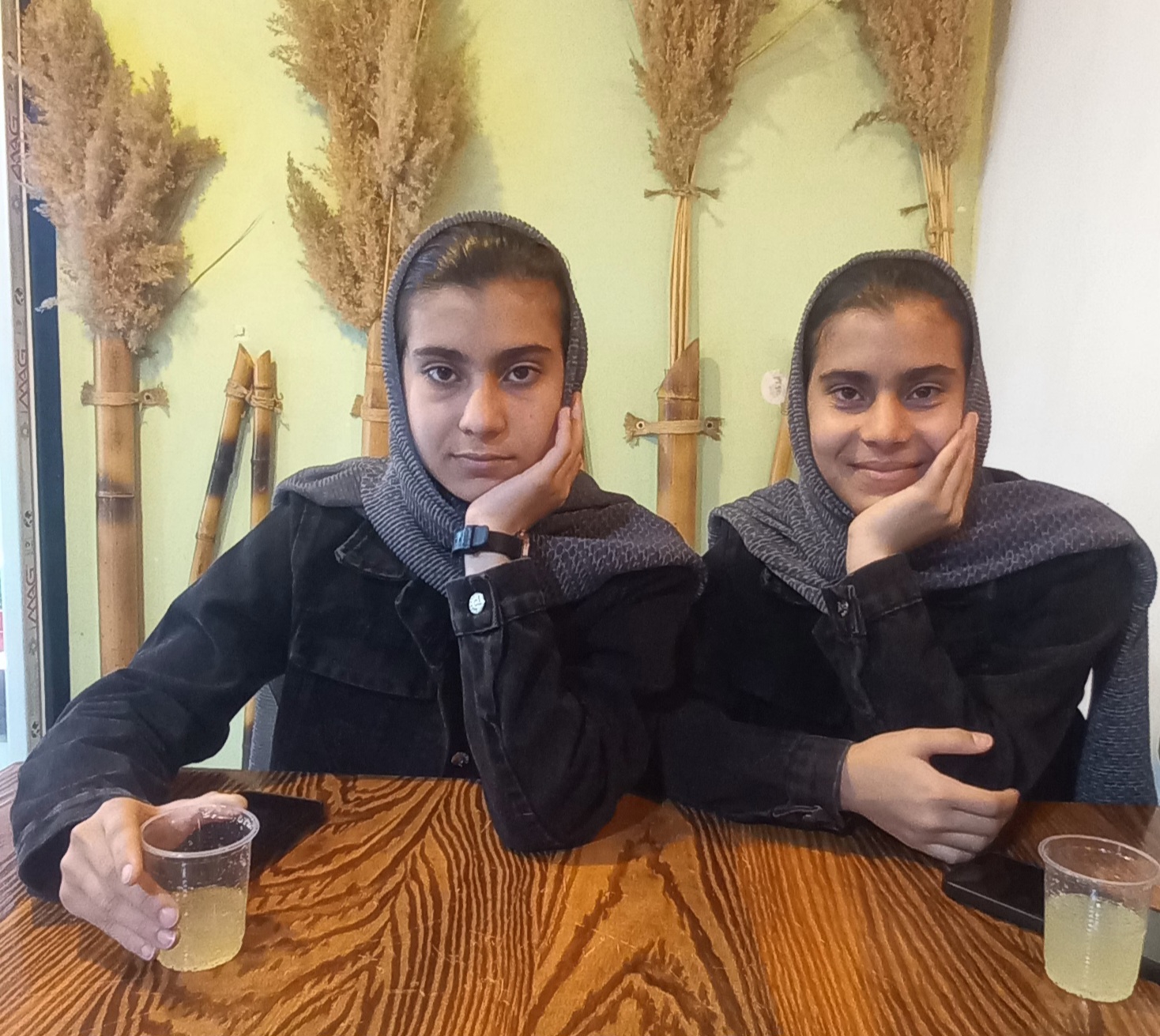 خانواده نوری