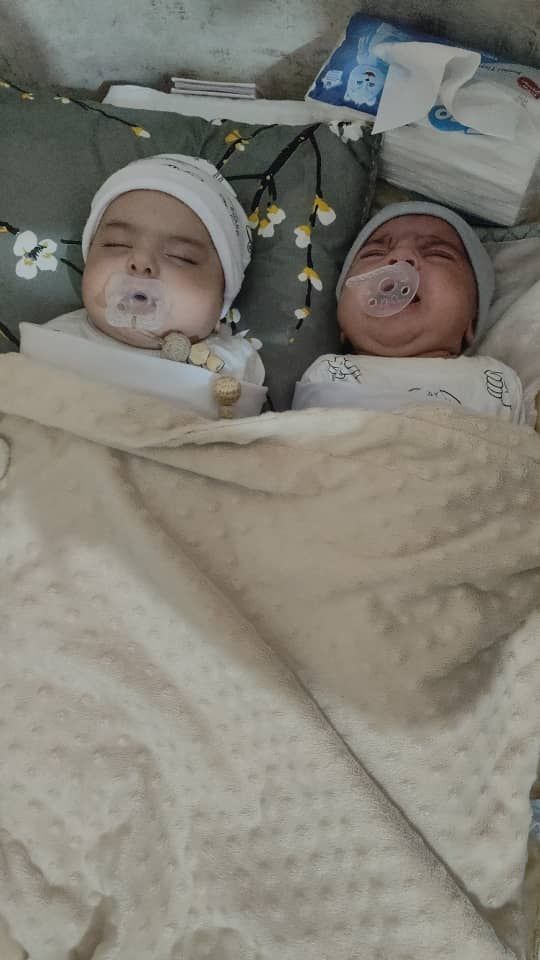 علی زهی شه بخش