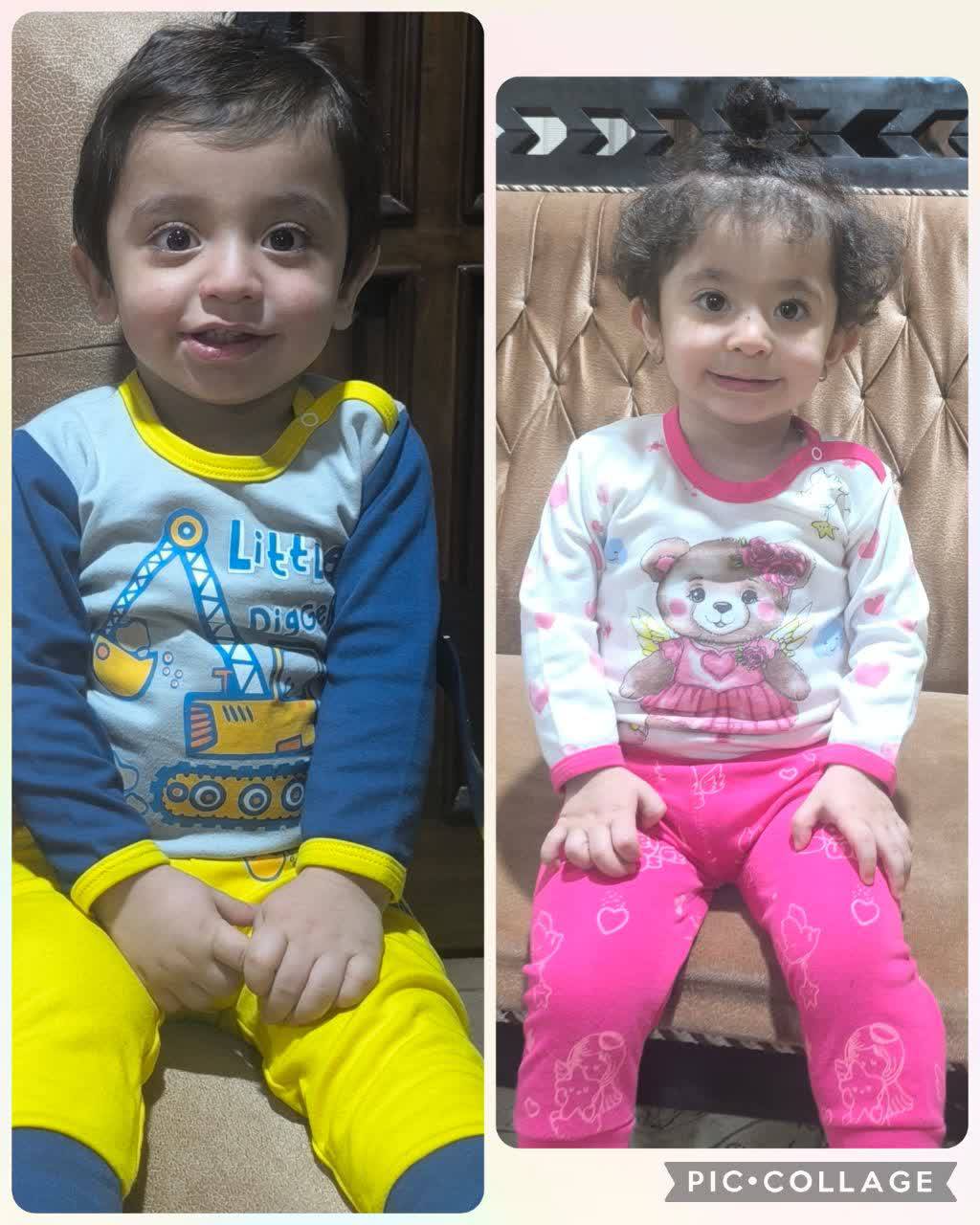 ناطقی
