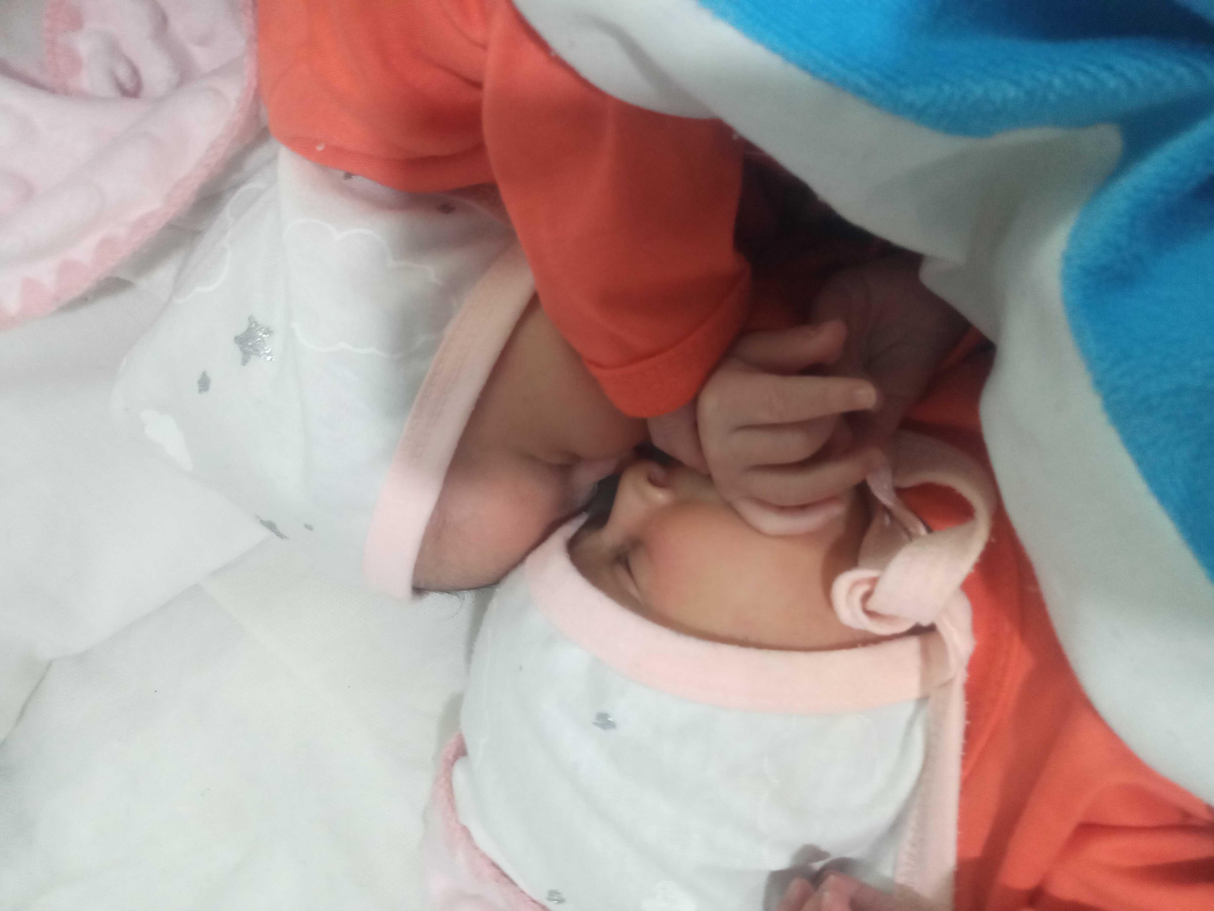 رقیه  رشیدی زرندی 