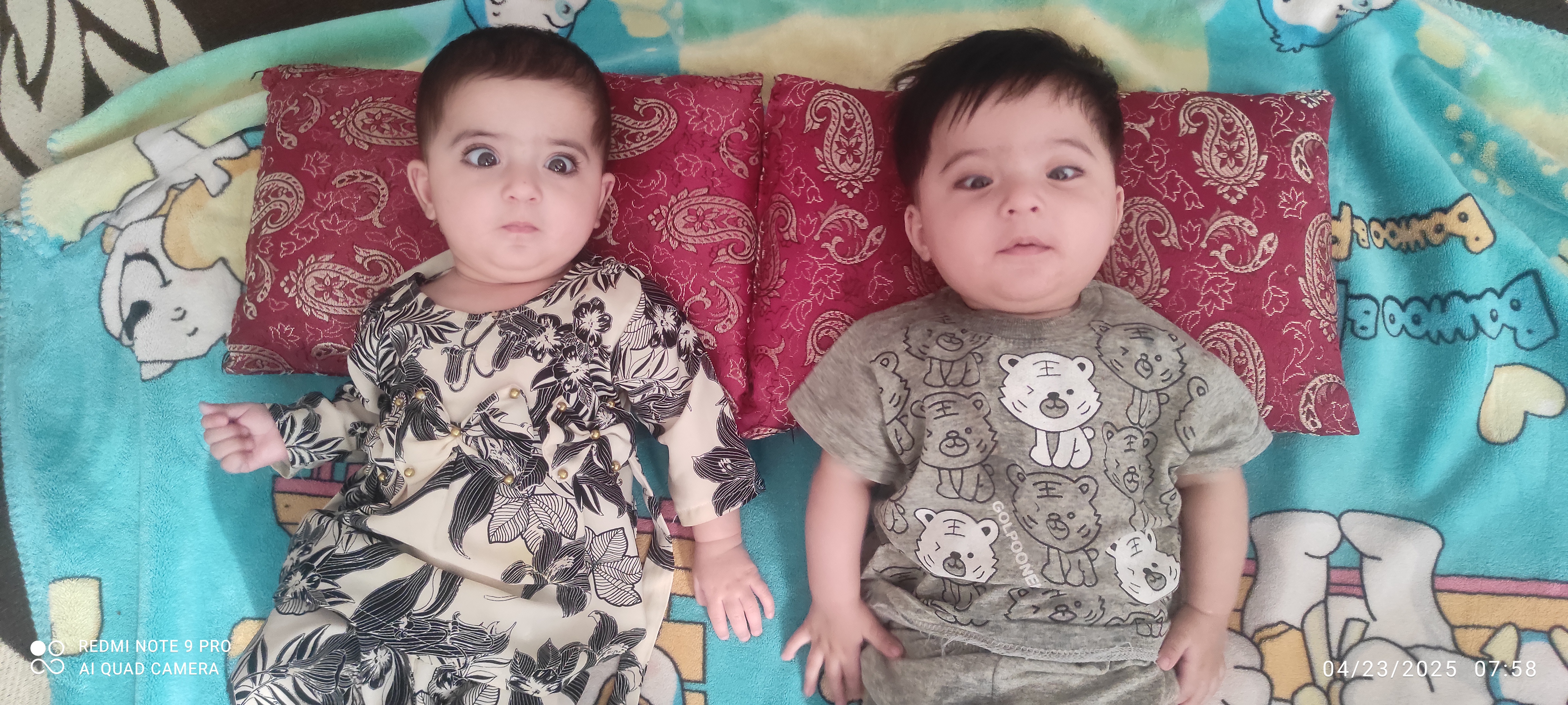 فردذاکری 