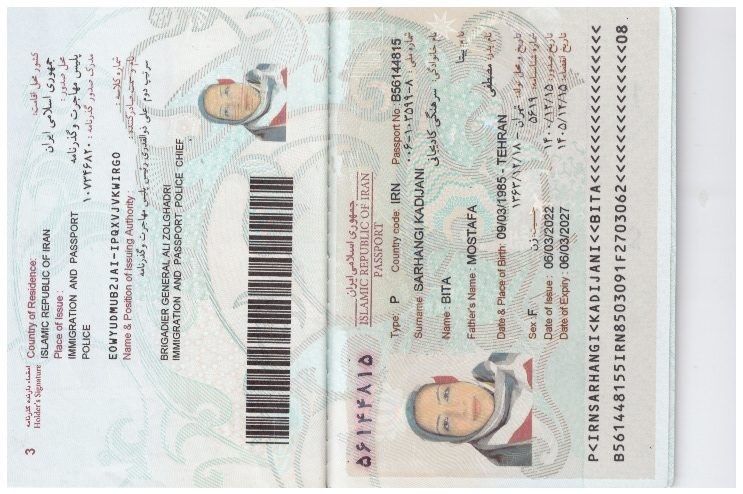 بیتا سرهنگی کادی جانی