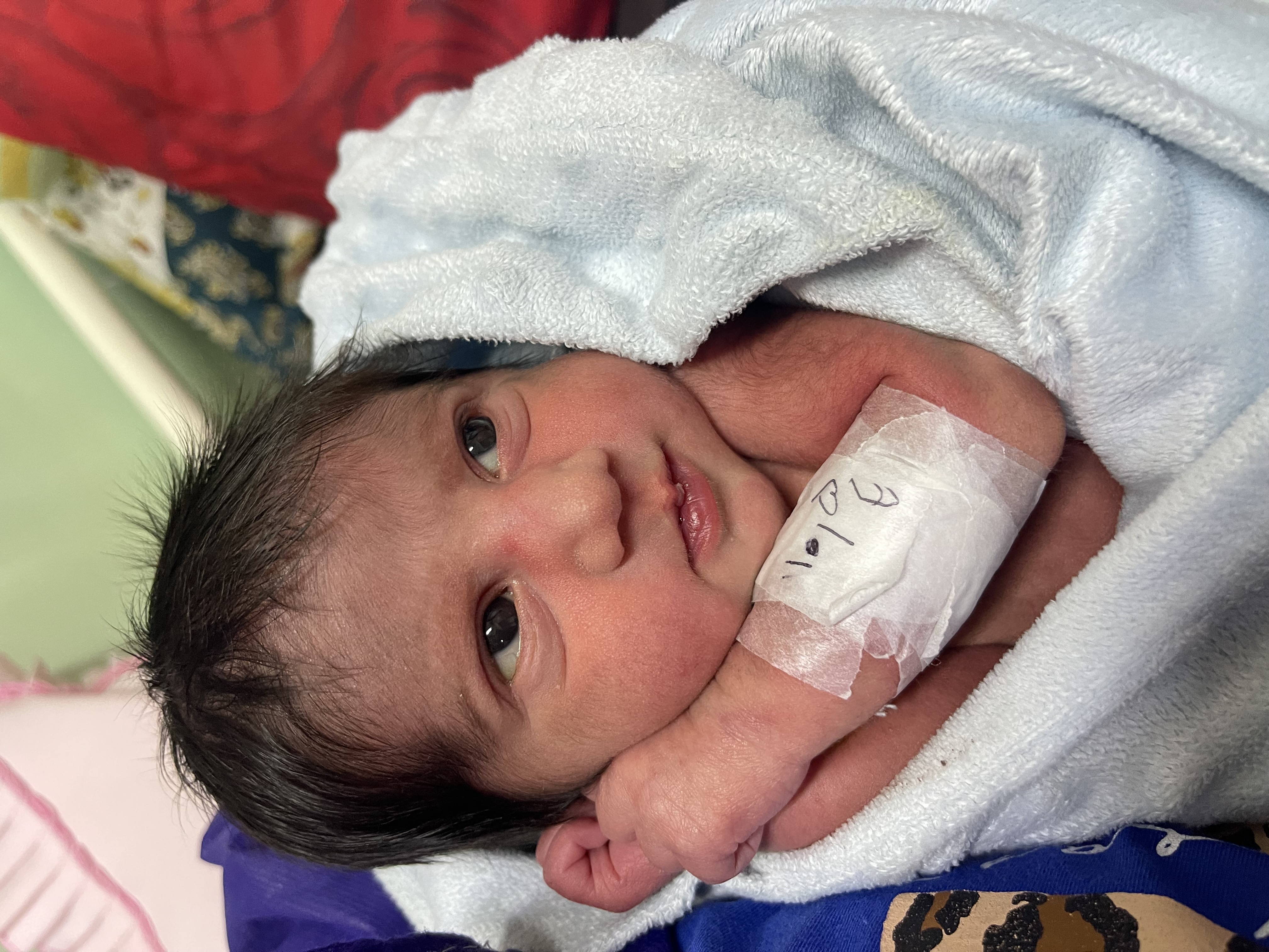 فوقی کاسگری