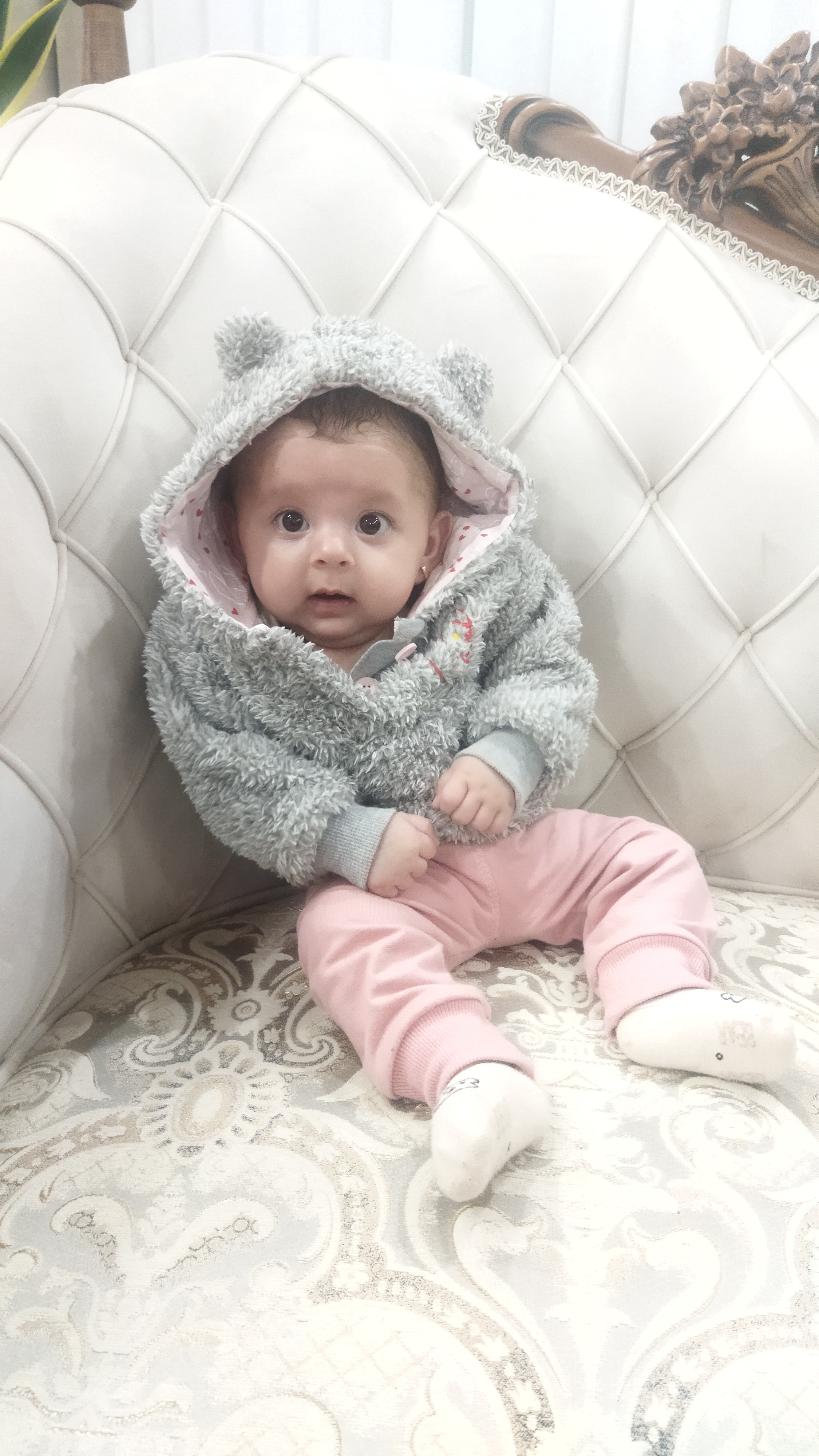 آیلی مشهدی فراهانی