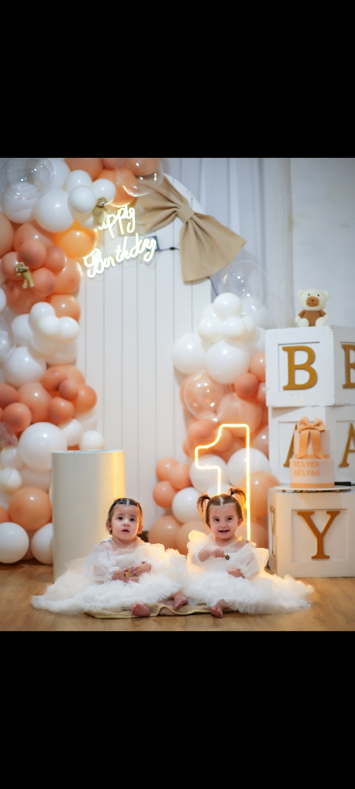 دلوین ابراهیمی