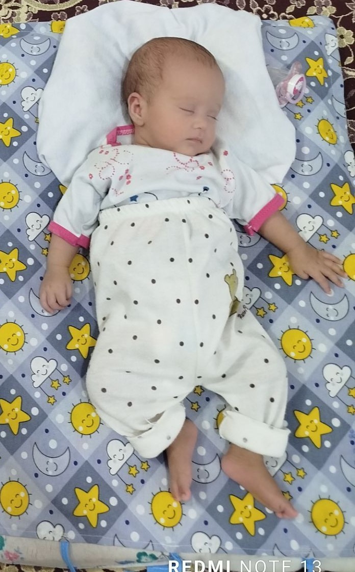 پناه بیابانی