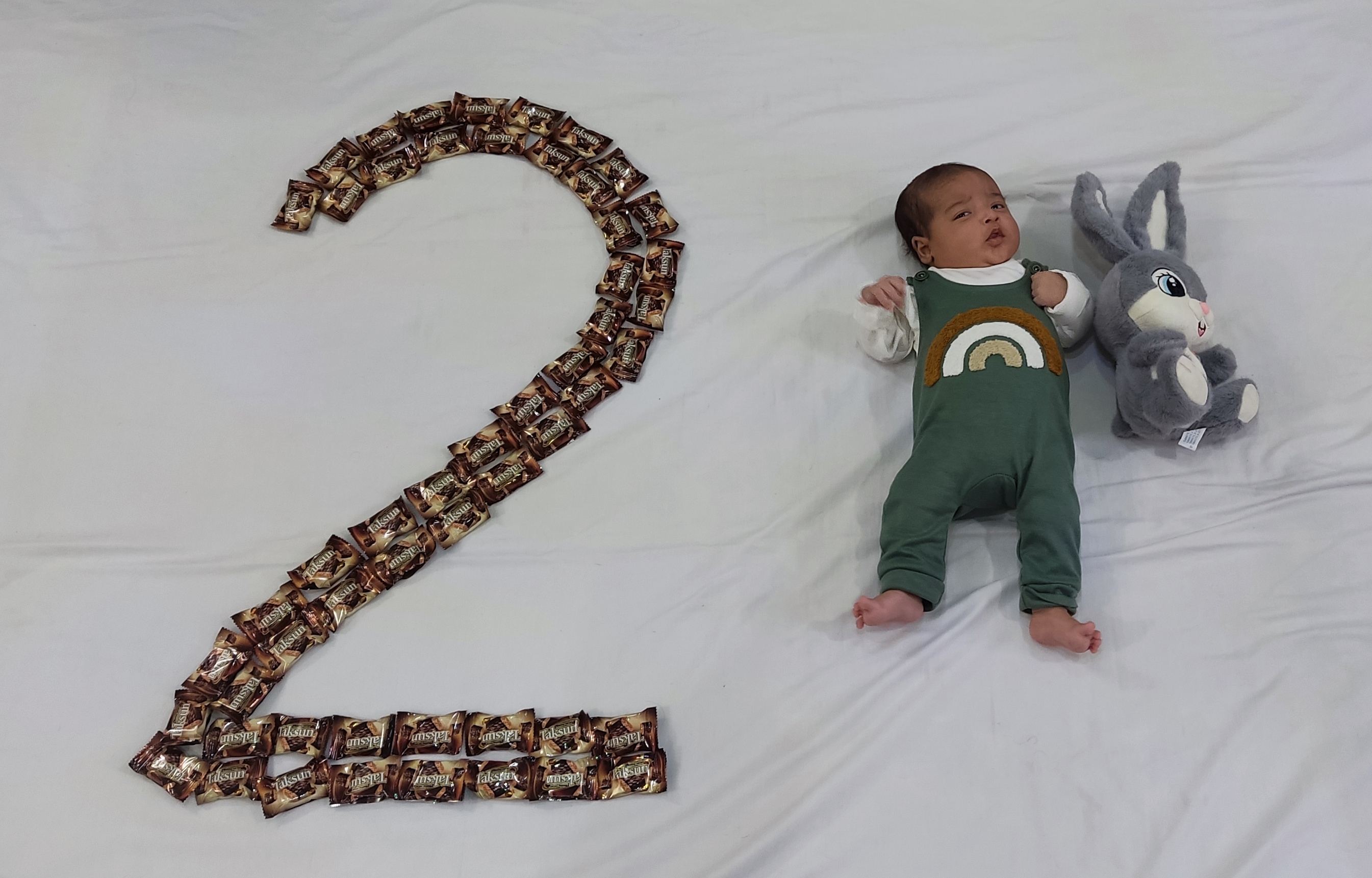 امیر بردیا داوری مهر