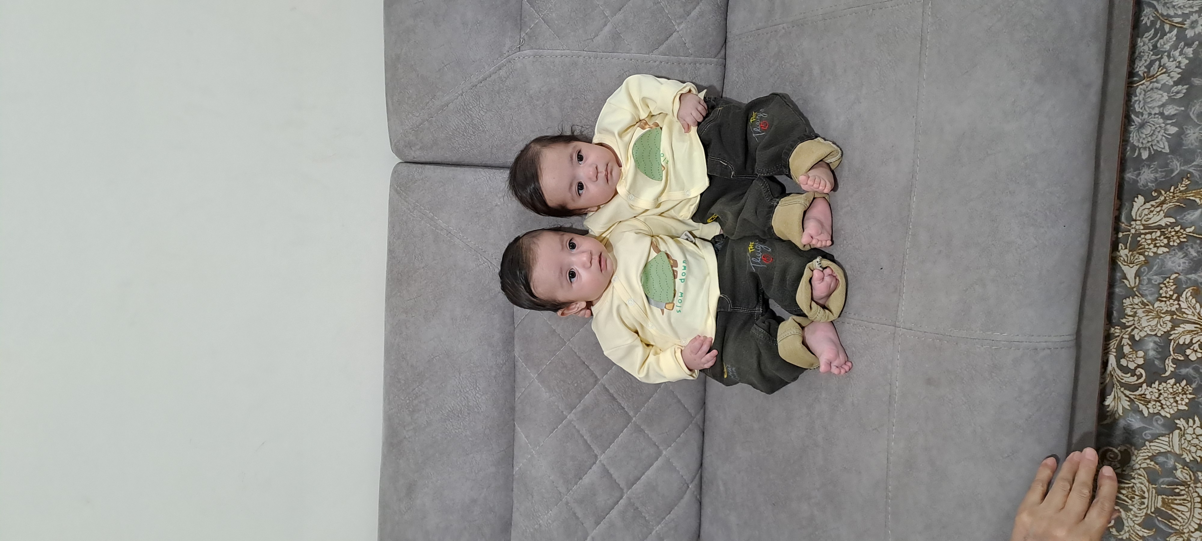 ایلیا طاهرمیرزایی