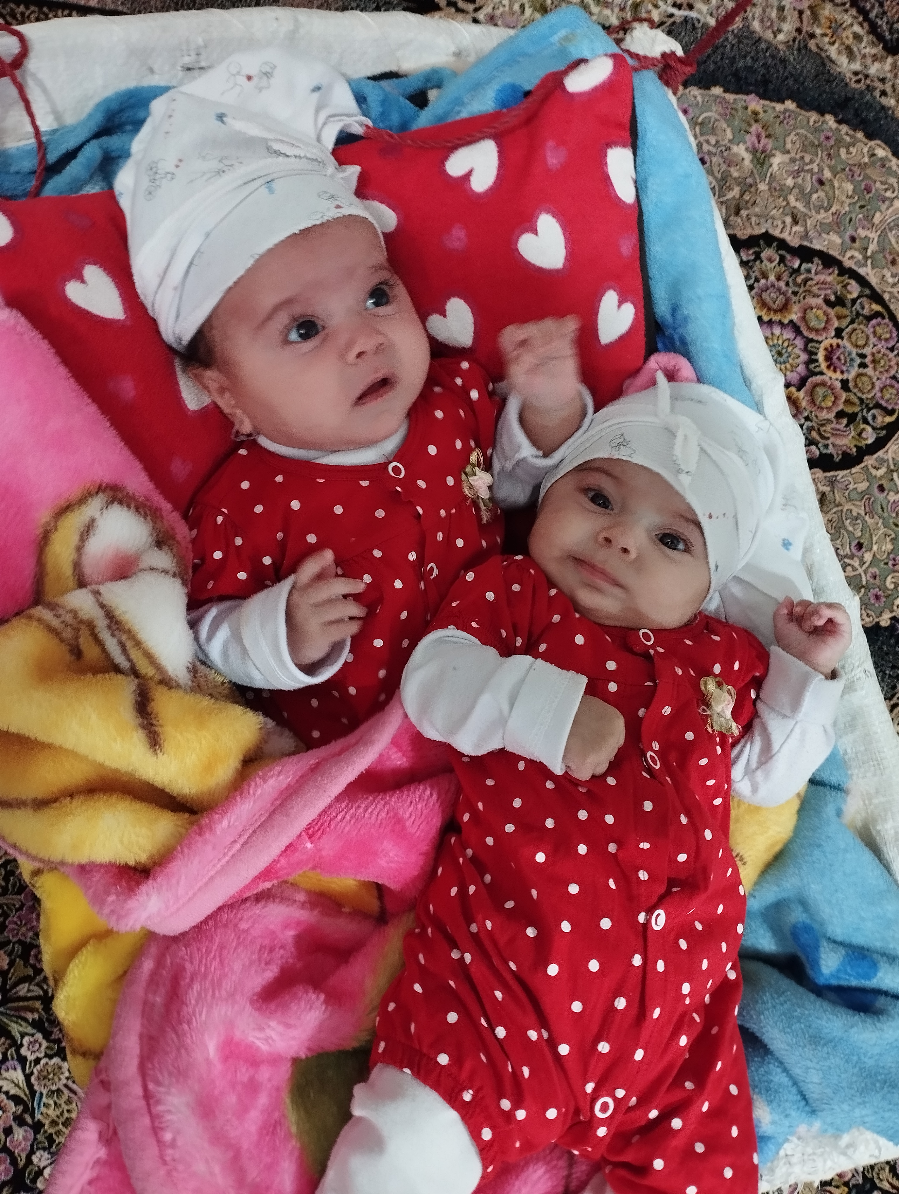 سوگند نجفی