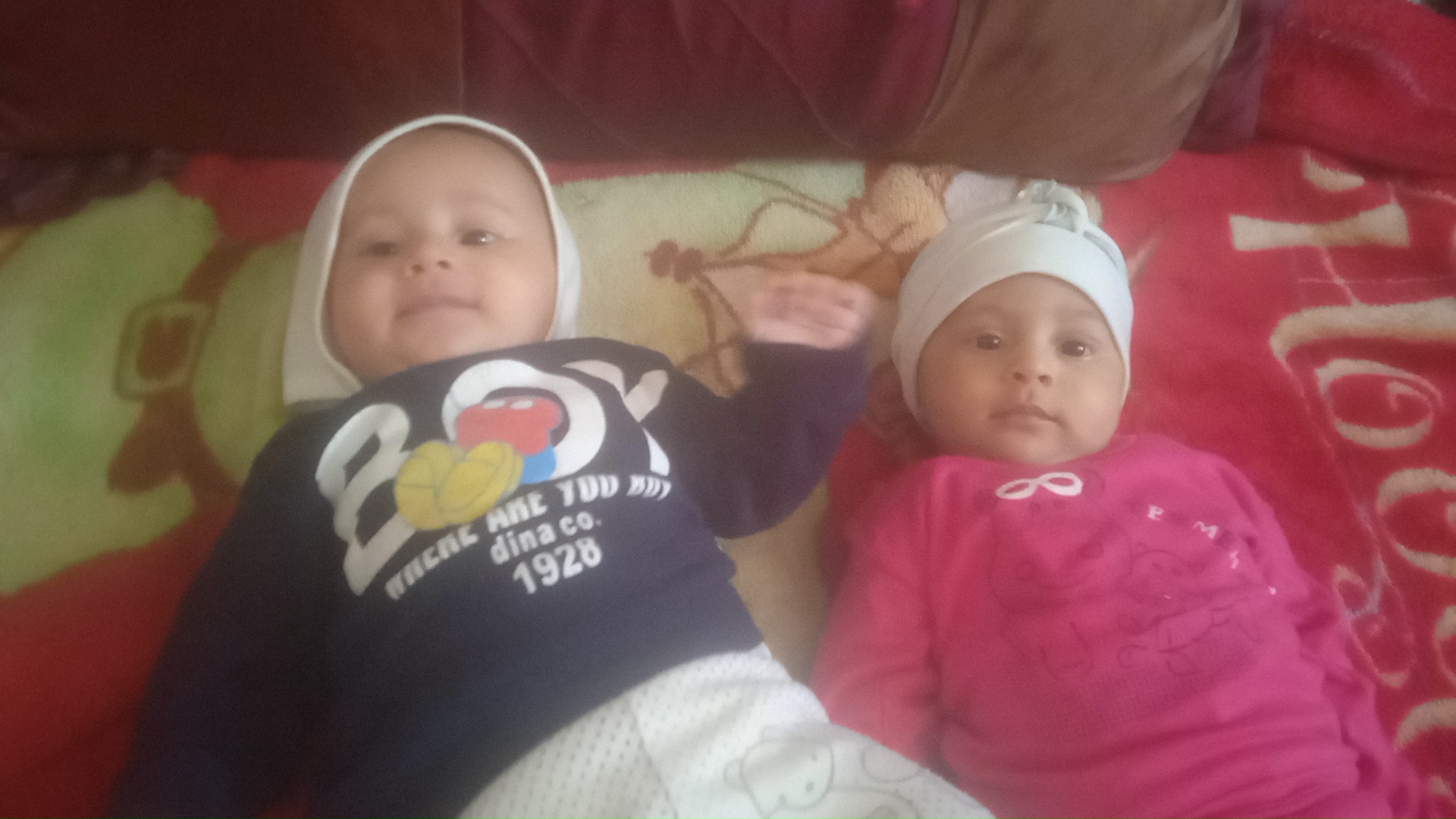 مرادیان تربتی