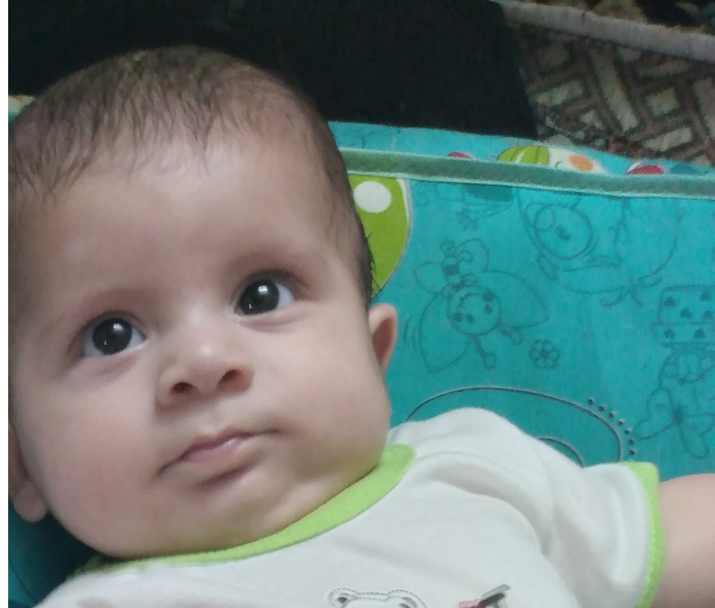 آوا ابراهیمی مطلق