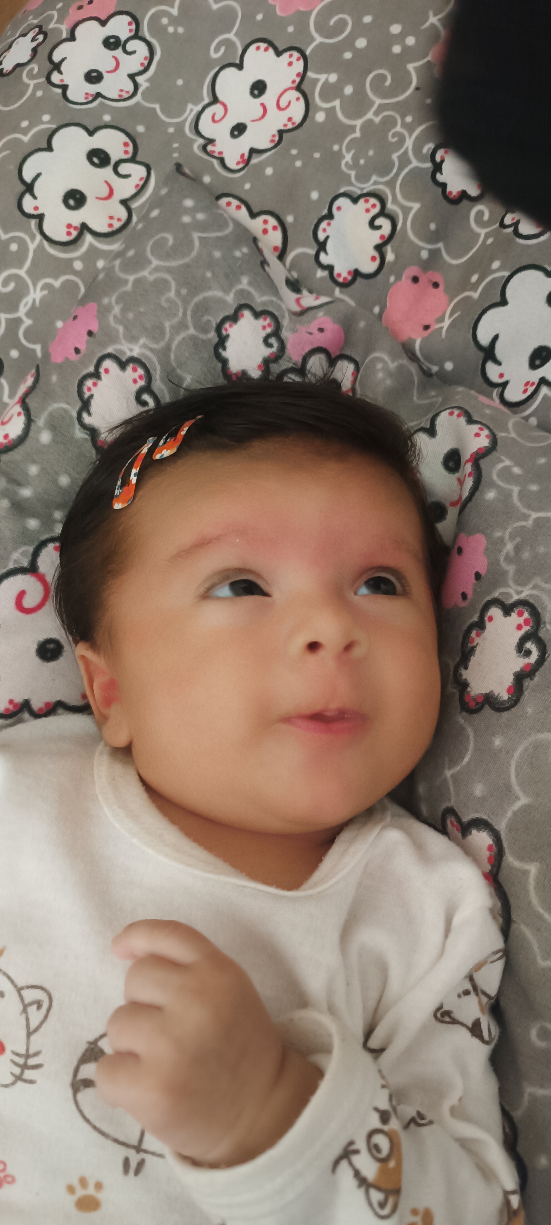 آیرا بازیار