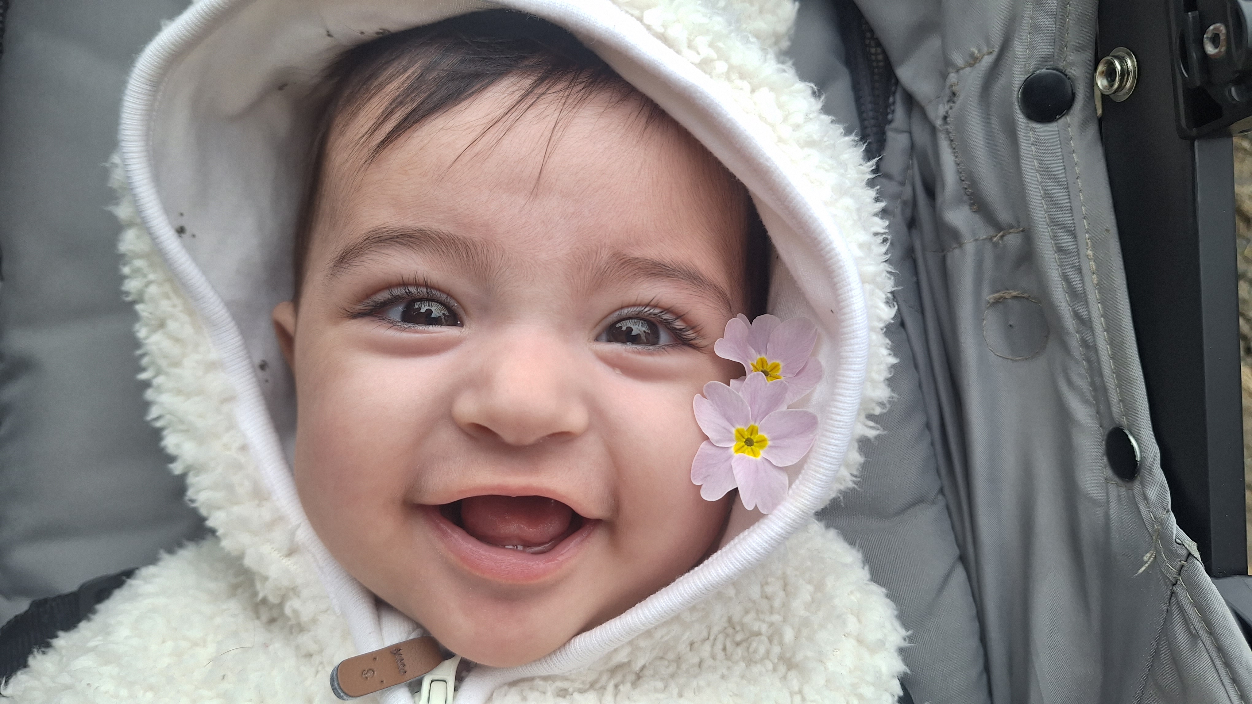 ایرانا کیانی