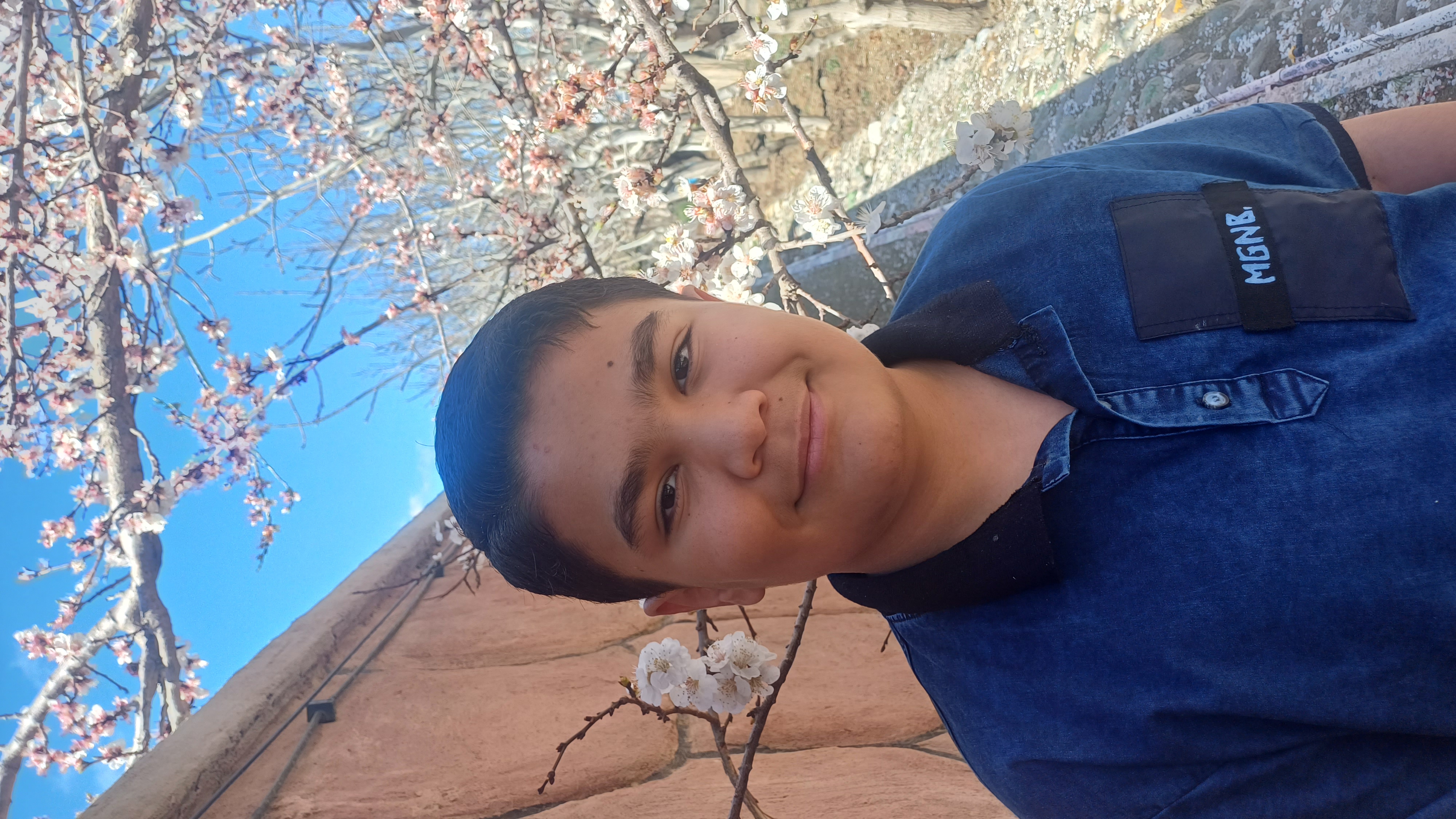 امیراحسان عابدی