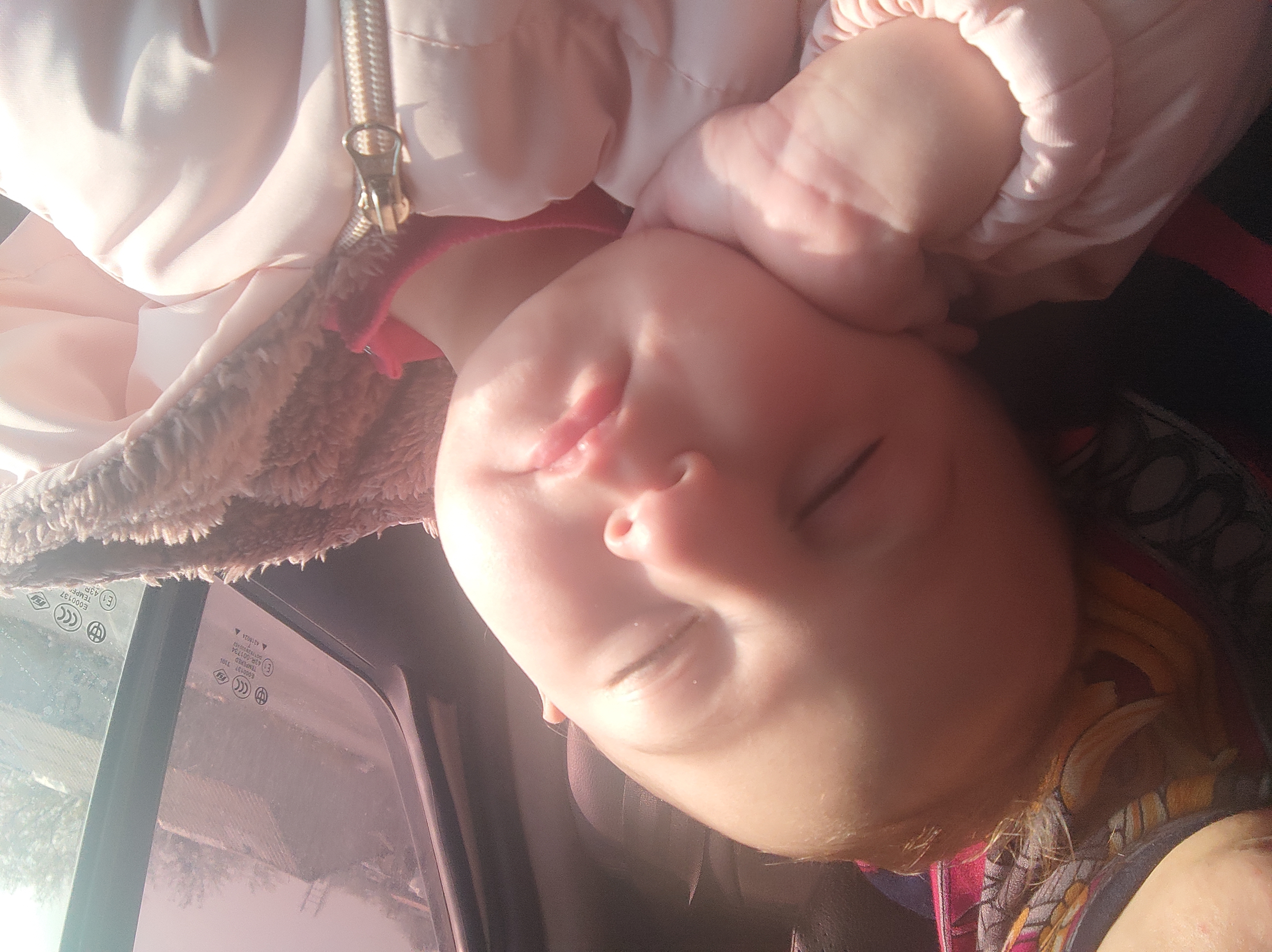 حلما  ایمانی صدر