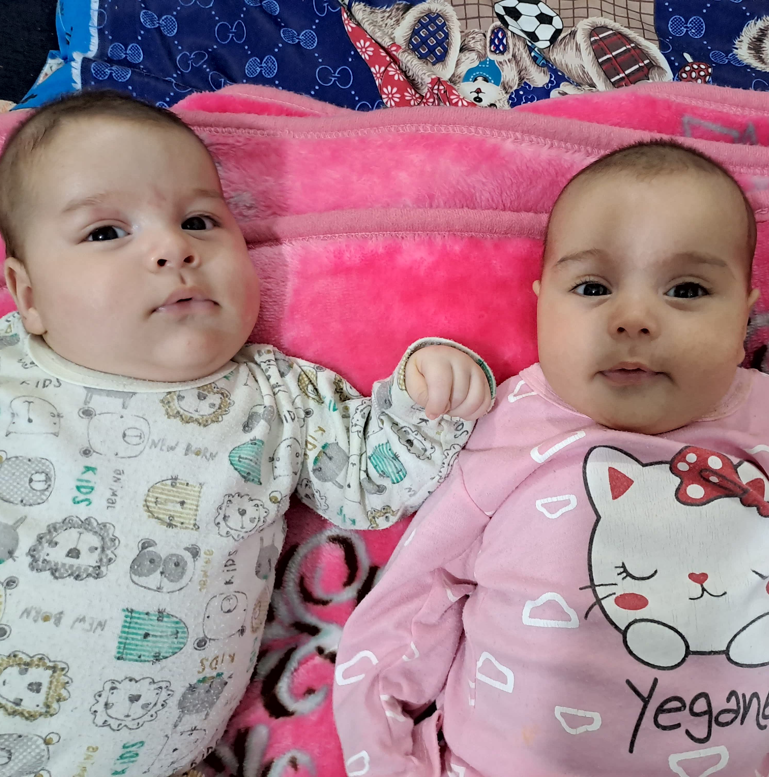 جواد قرباغی