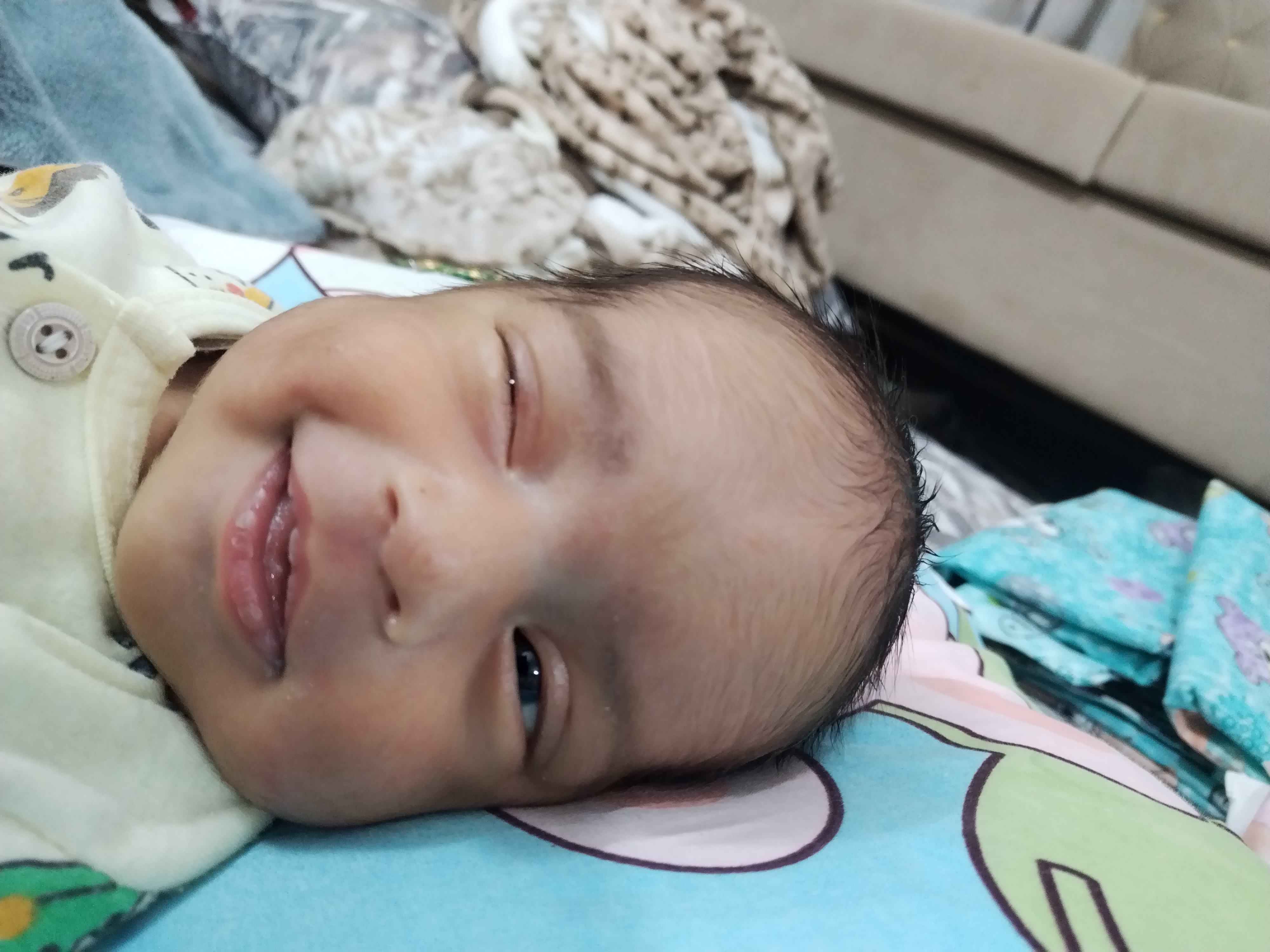 محمد مهدی مظلوم بجدن