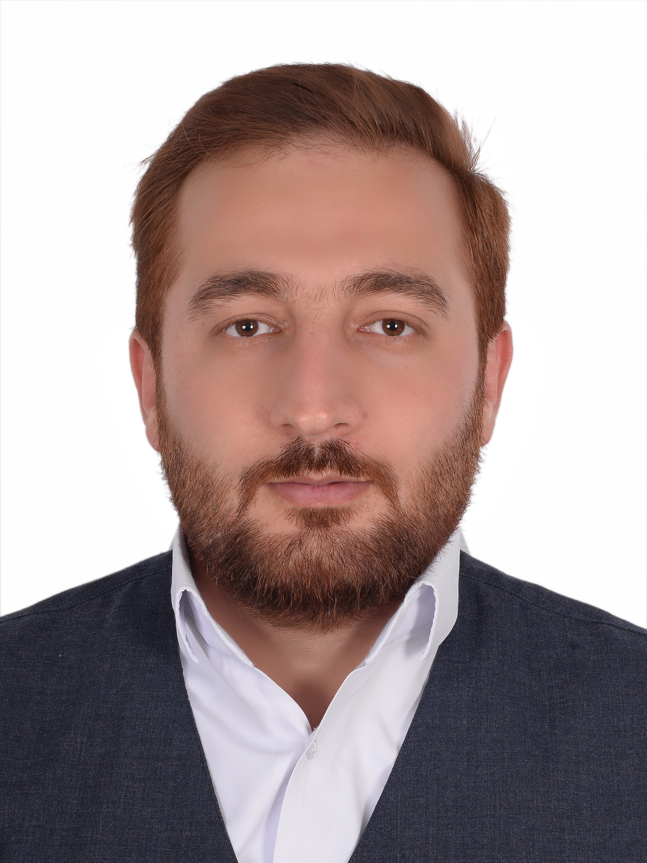 ارشاد قیطولی