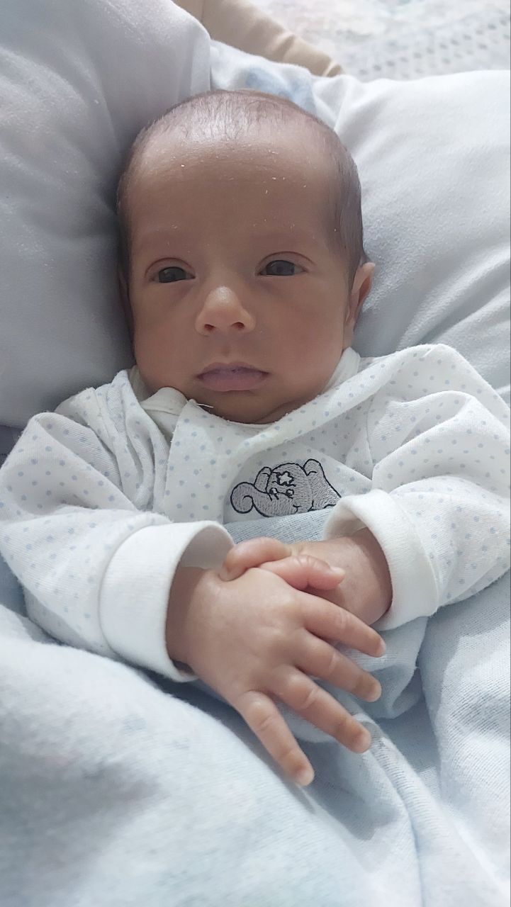 آریا اسمعیلی