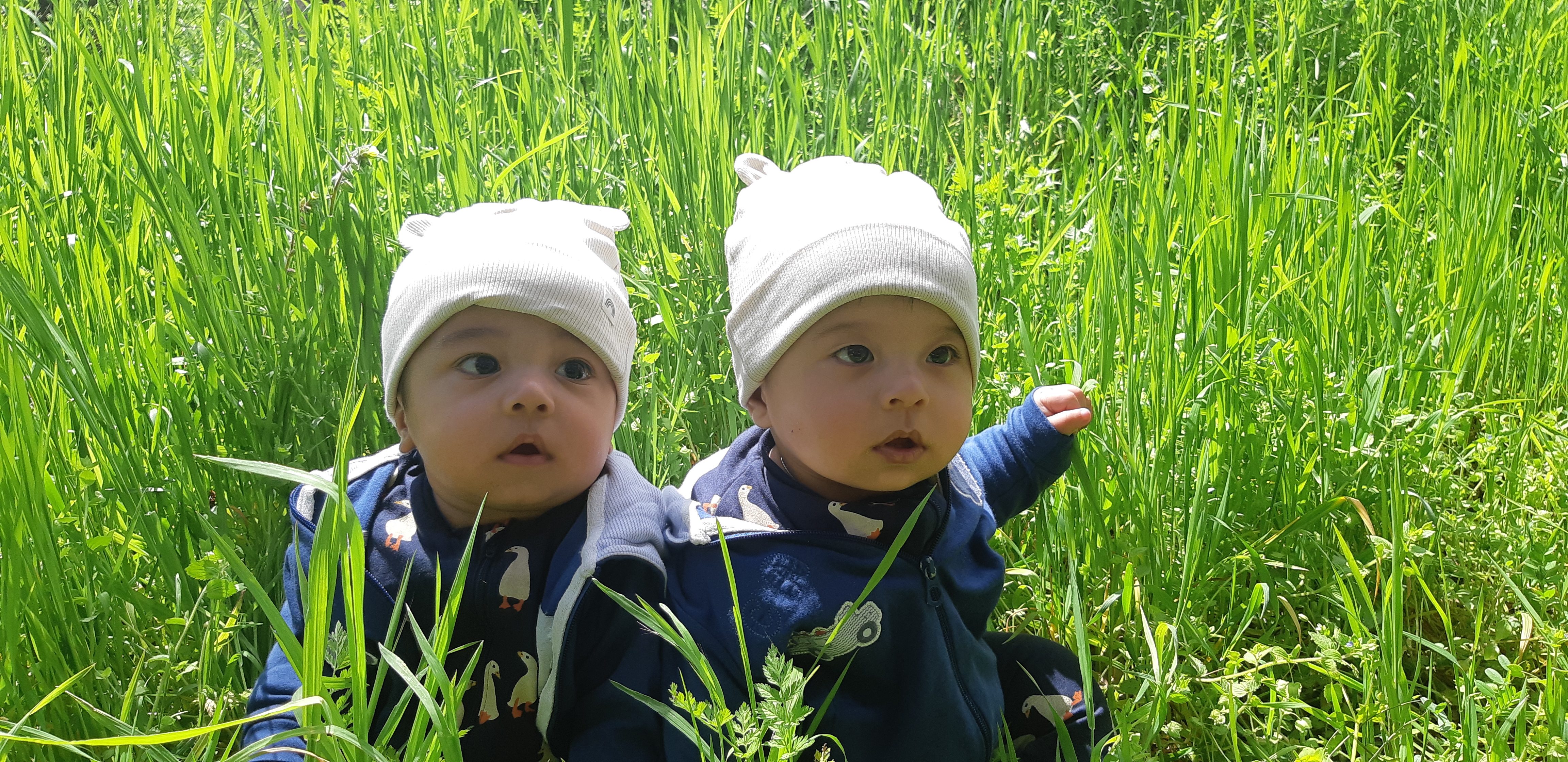 سجاد تفضلی نژاد