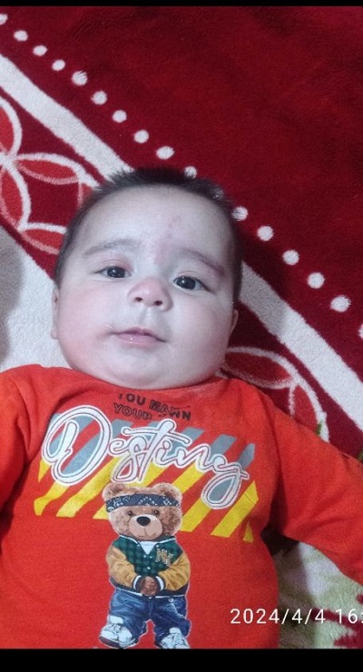 حمیرا جنگوزهی 