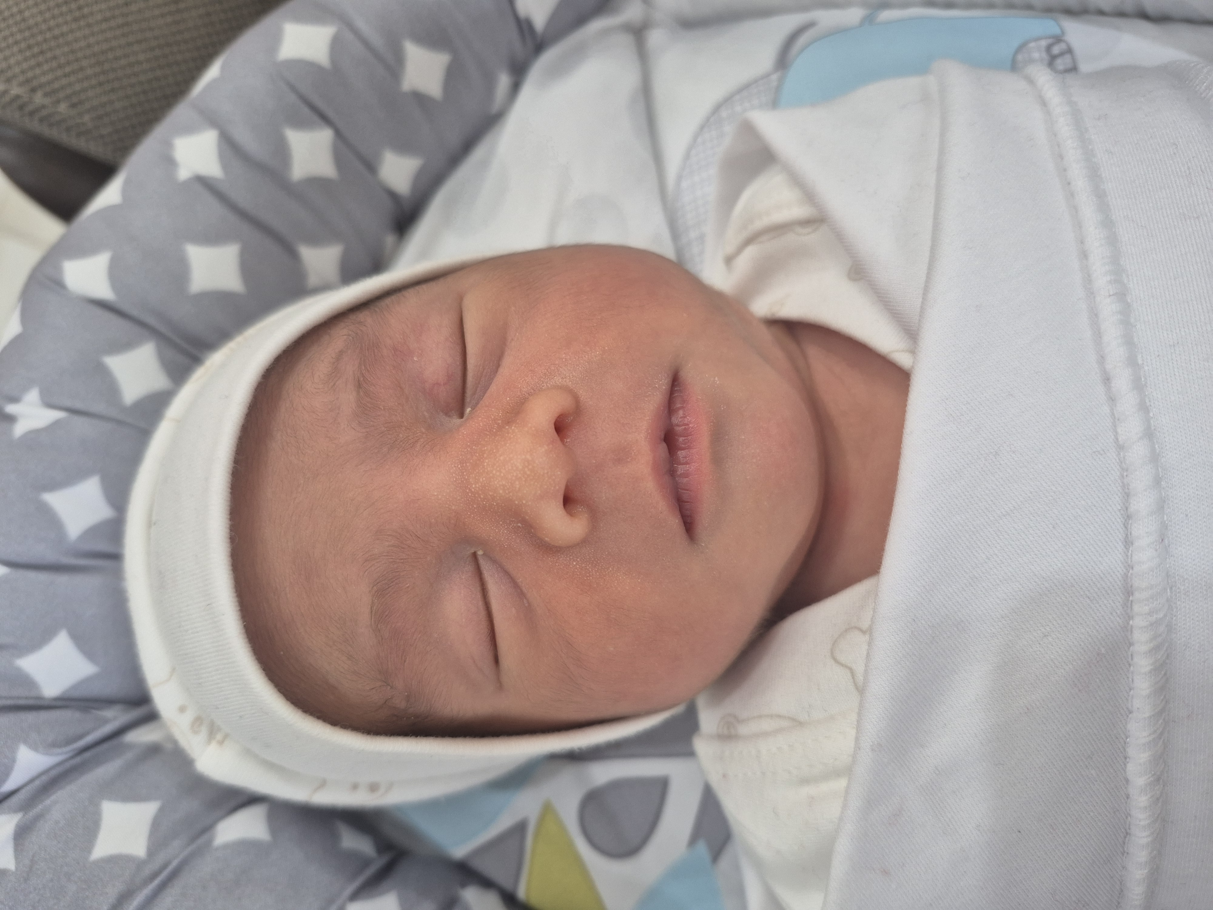 رادین پورمحمدی