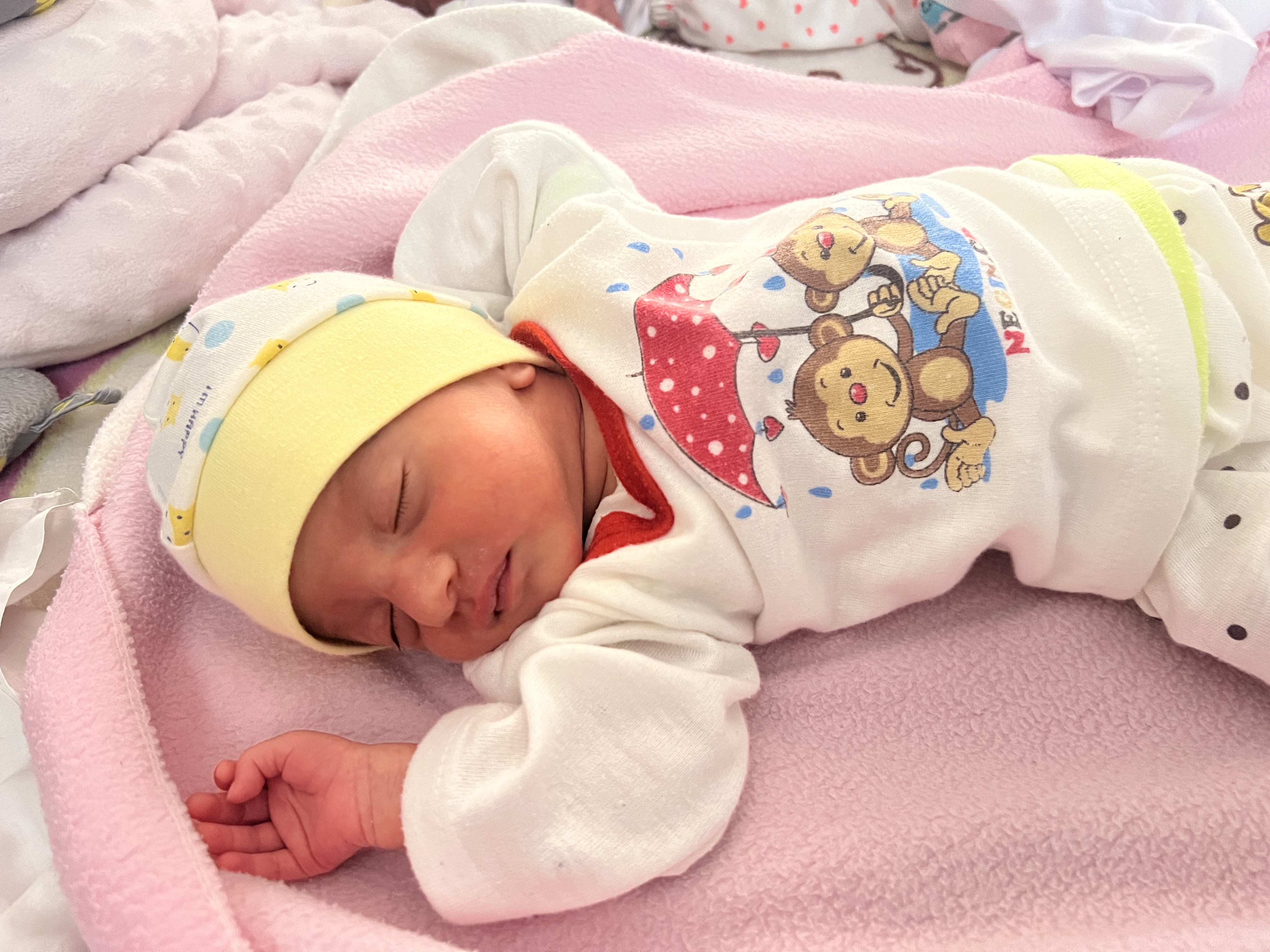 ریحانه رضایی