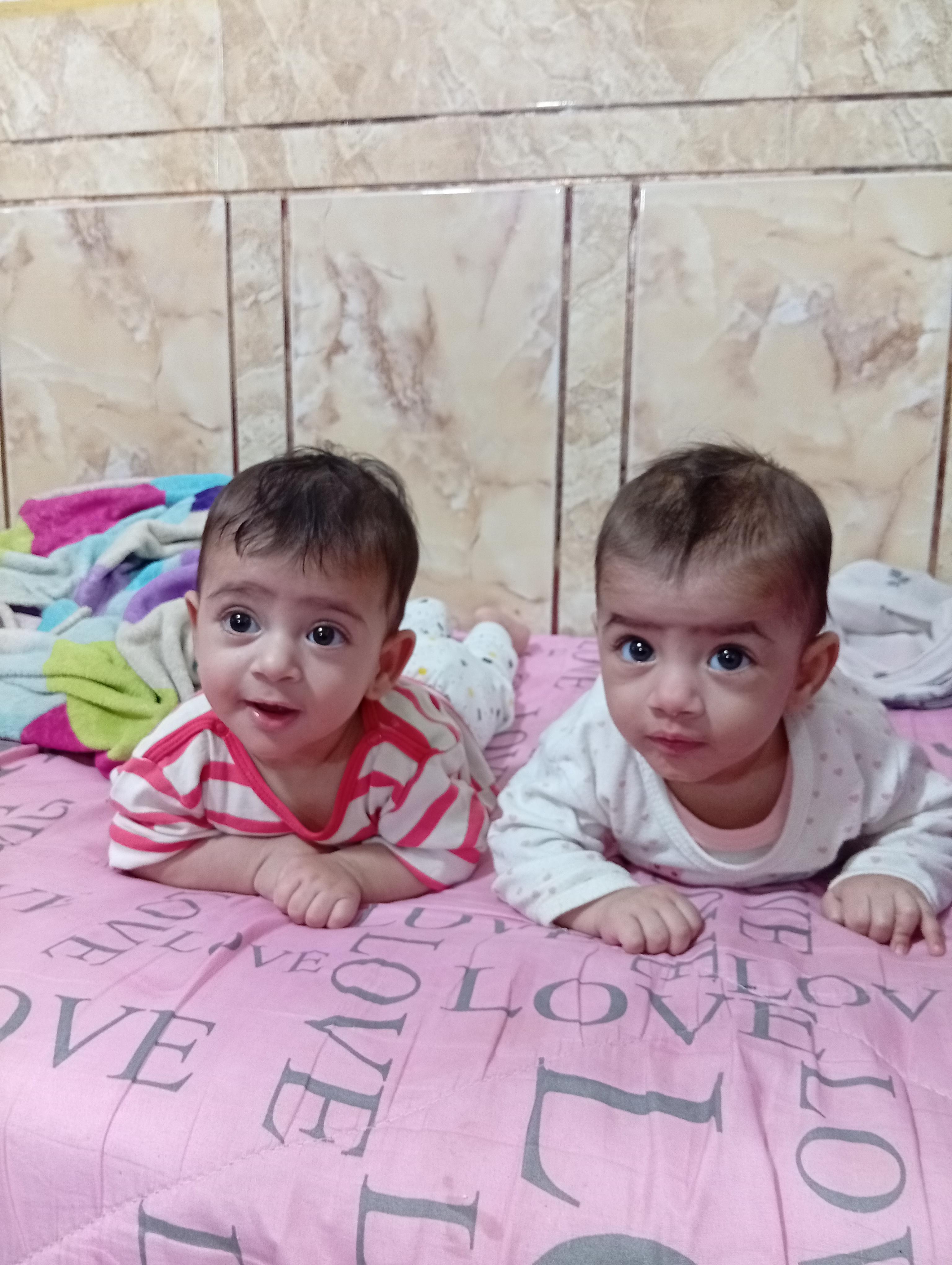 علی  غرباوی